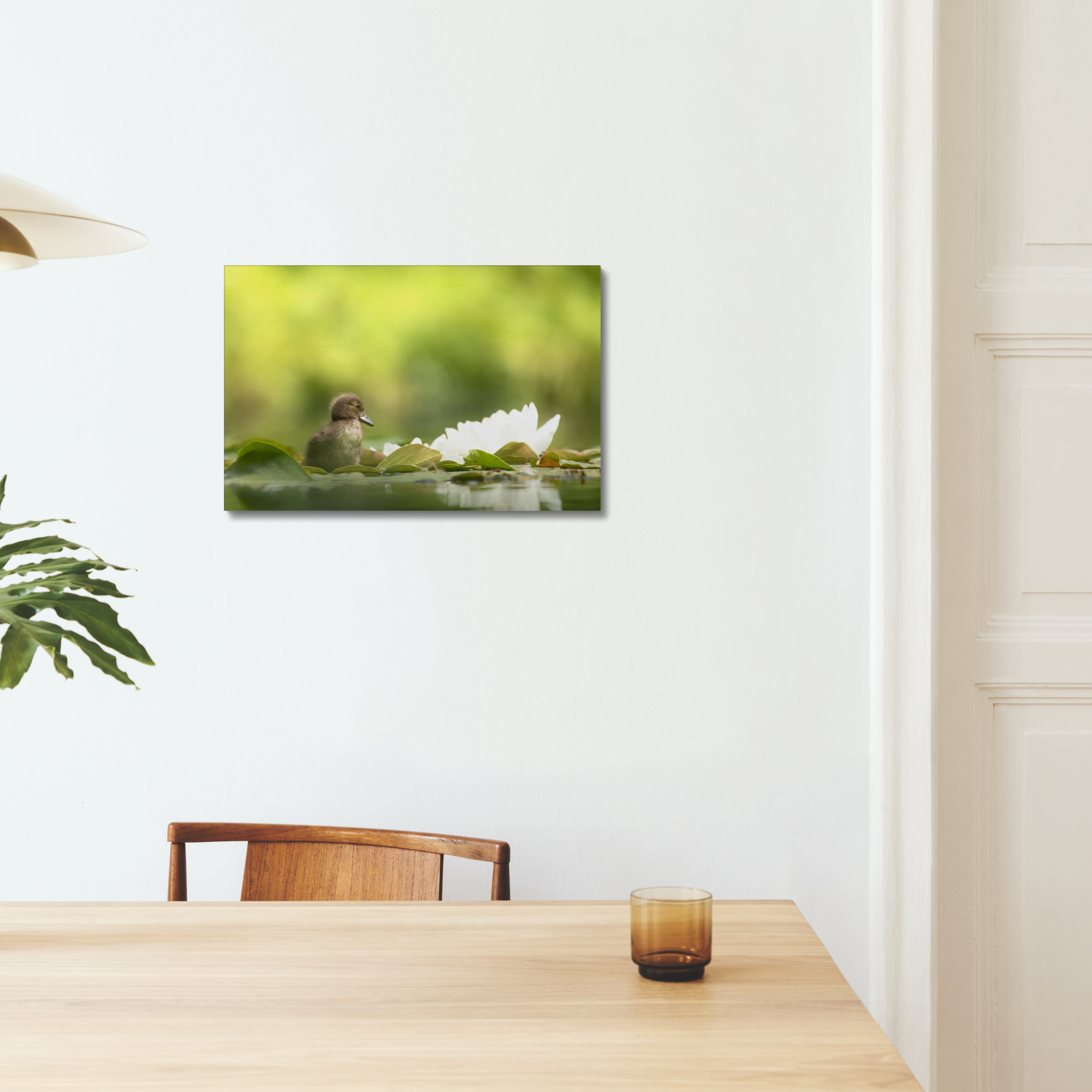 Tufted Duckling Canvas