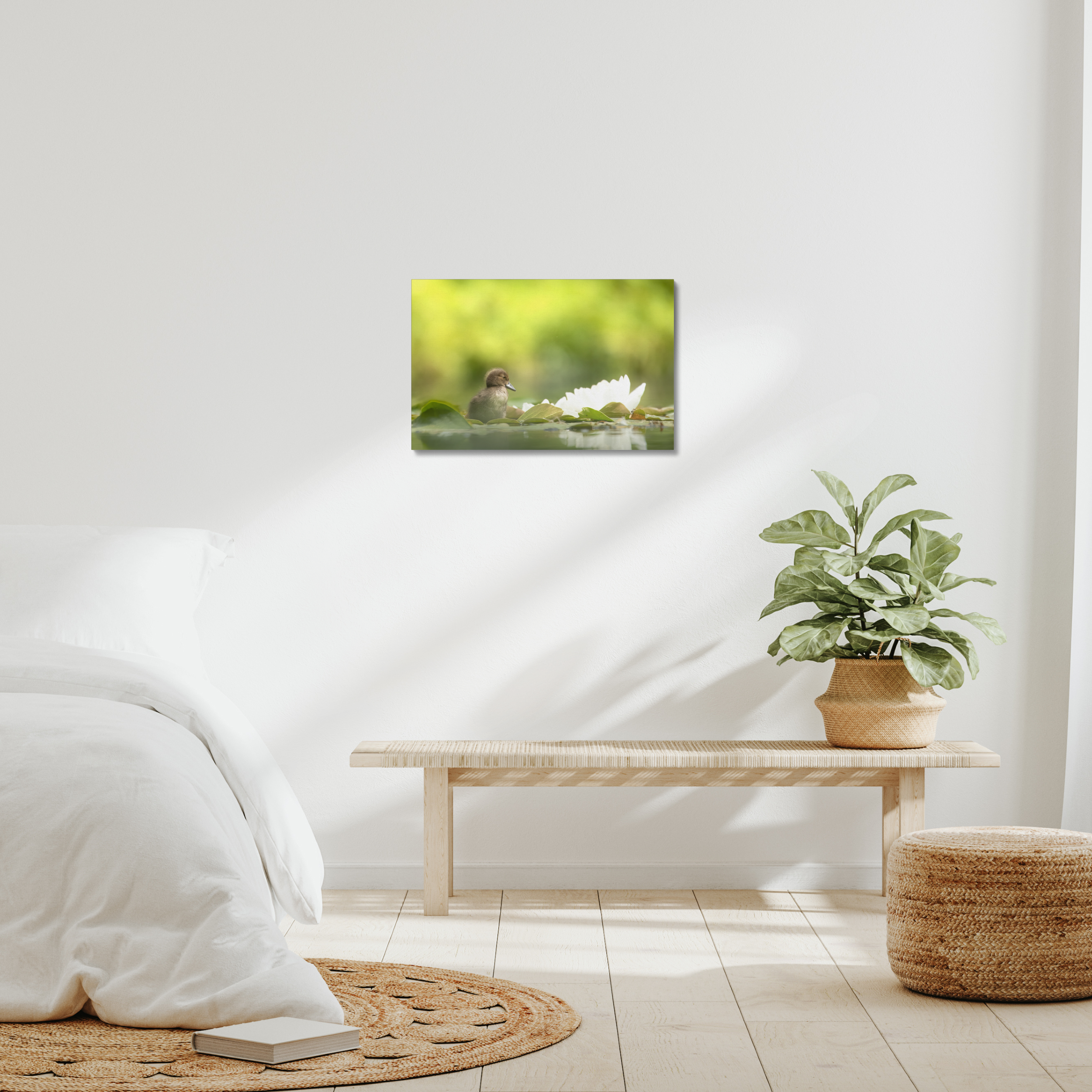 Tufted Duckling Canvas