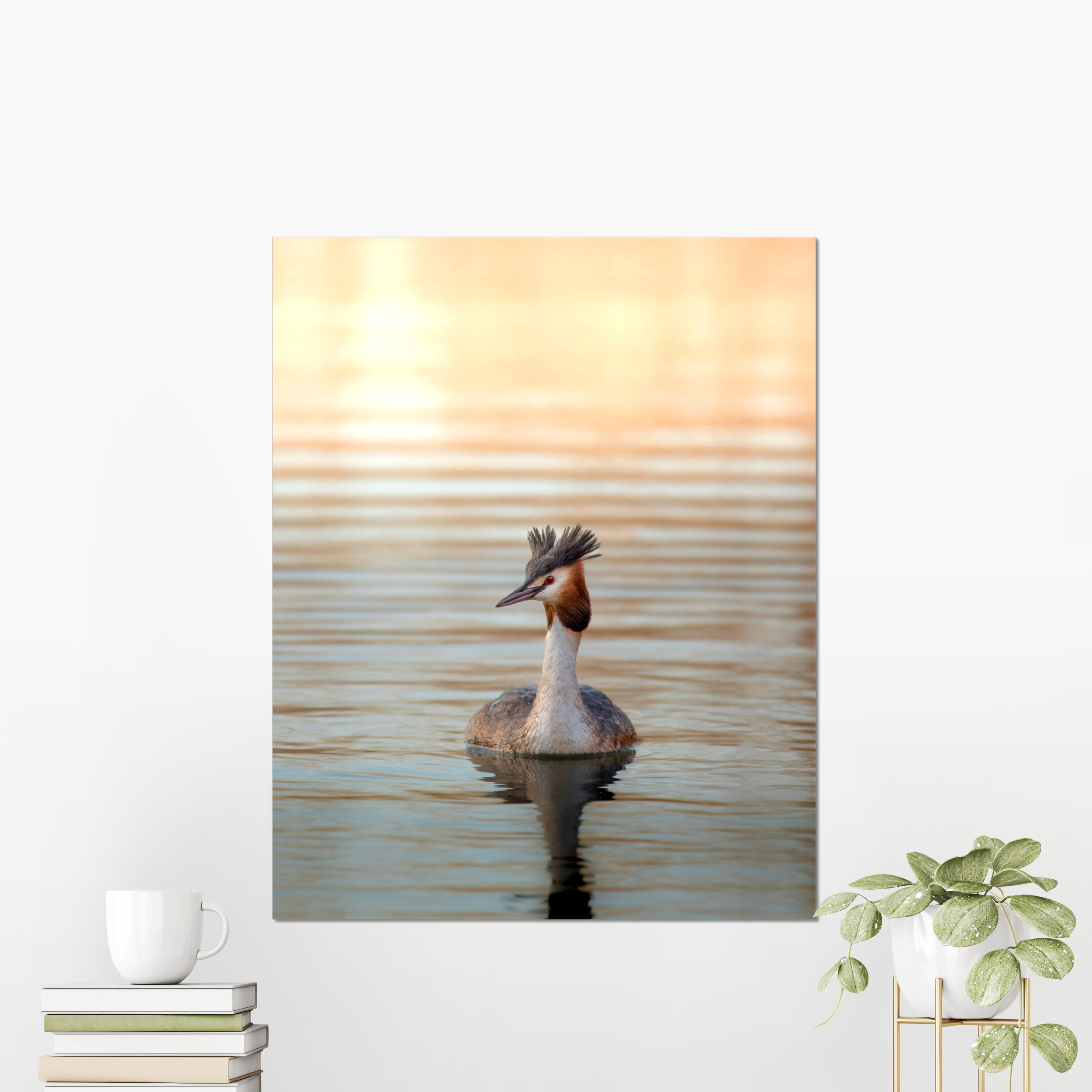 Grebe Photo Print