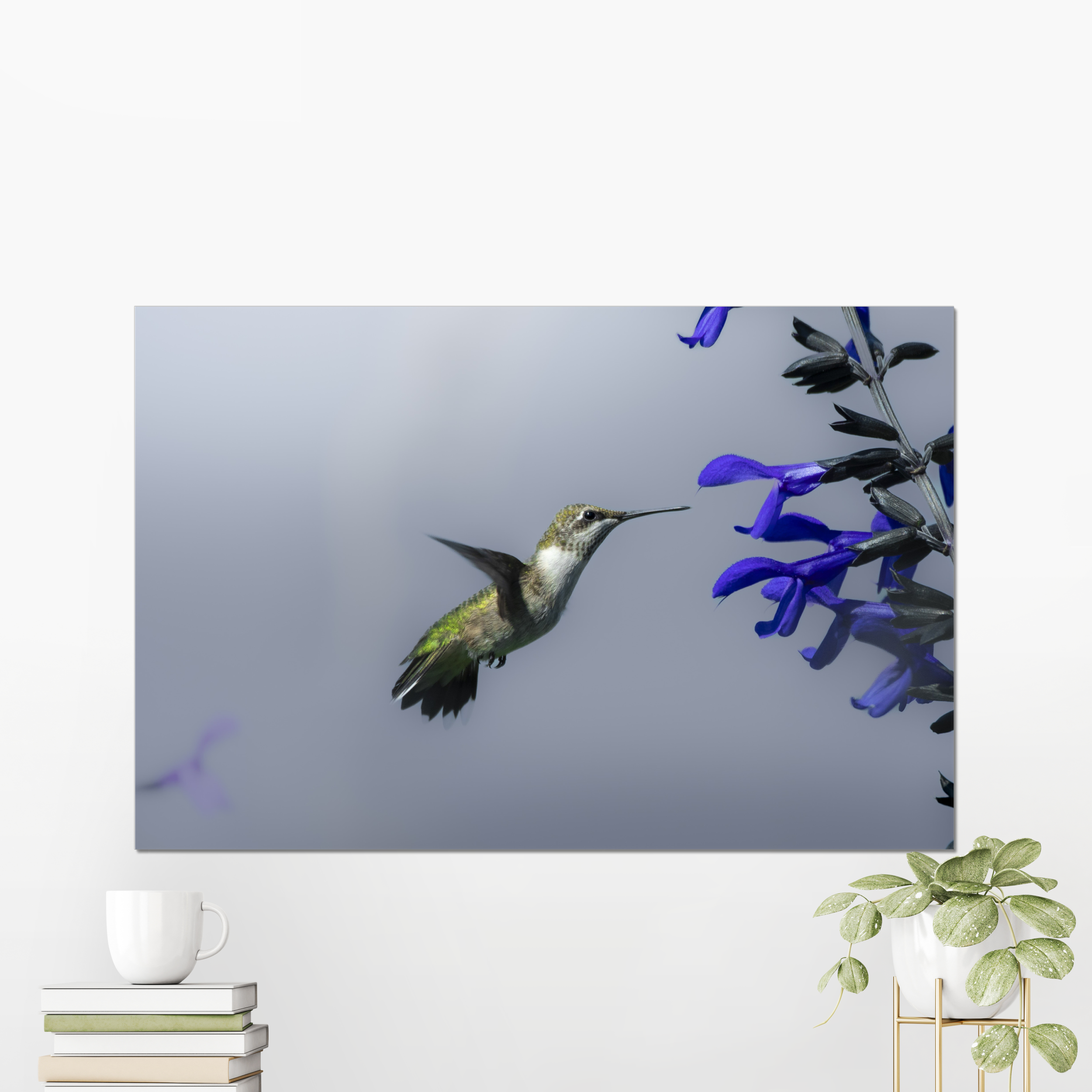 Hummingbird Photo Print