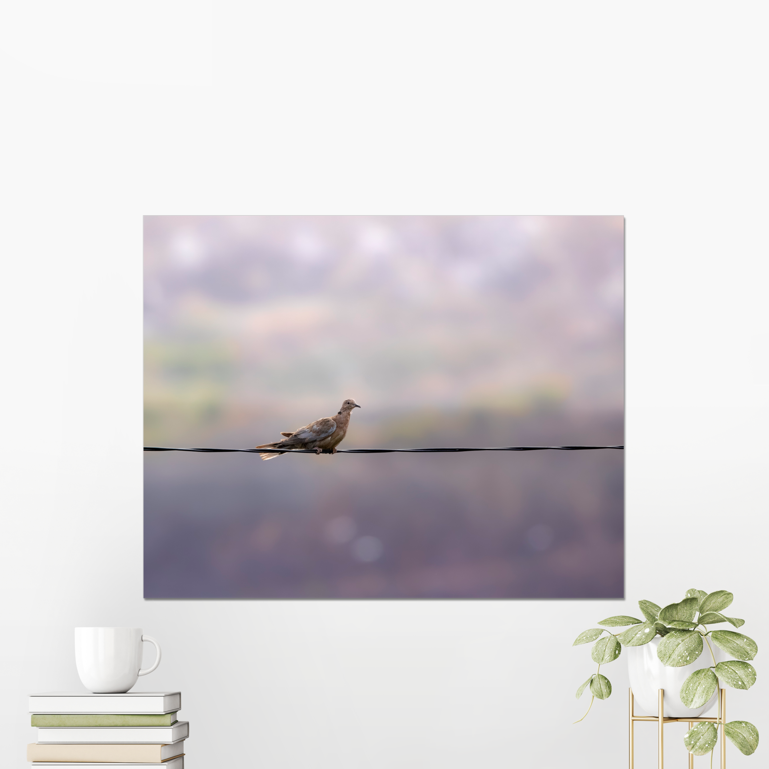 Dove on a Wire Photo Print