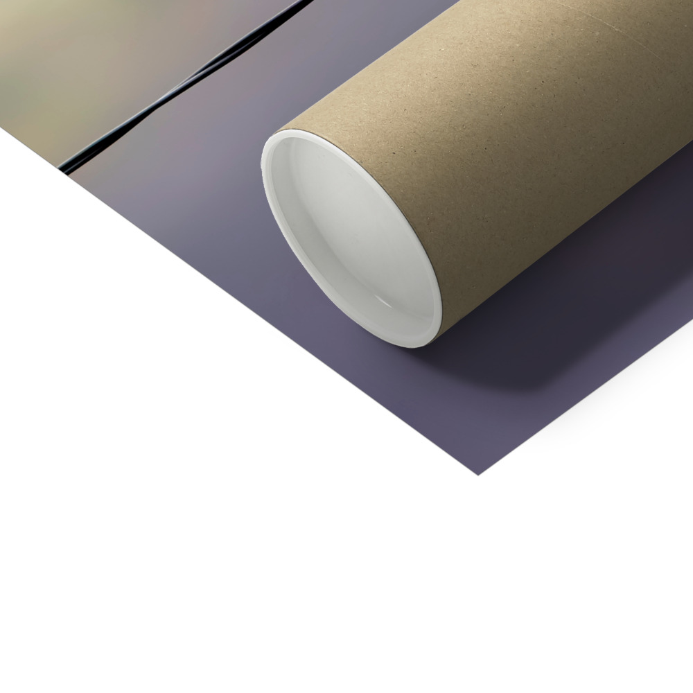 Dove on a Wire Photo Print