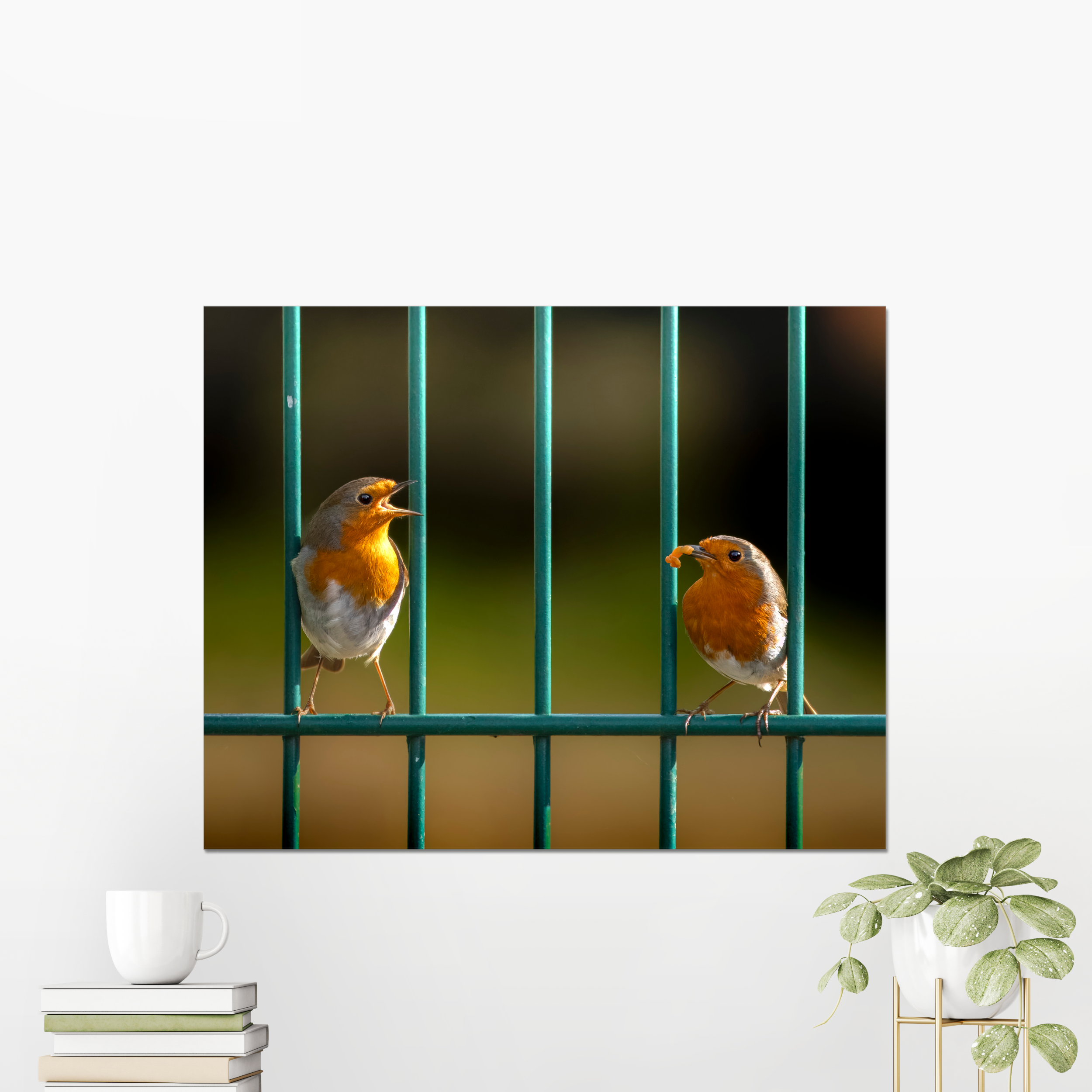 Robins Courting Photo Print