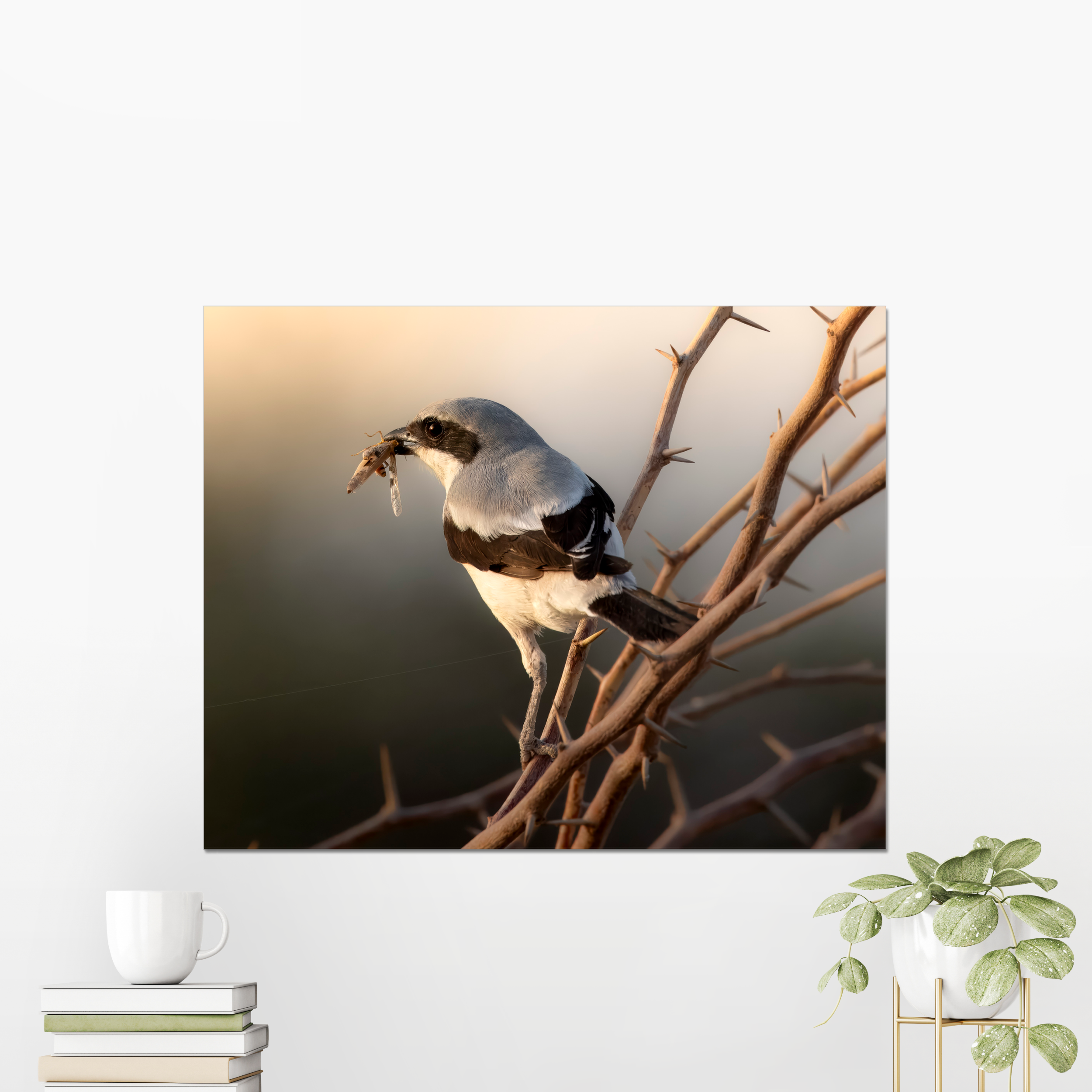 Shrike with Breakfast Photo Print