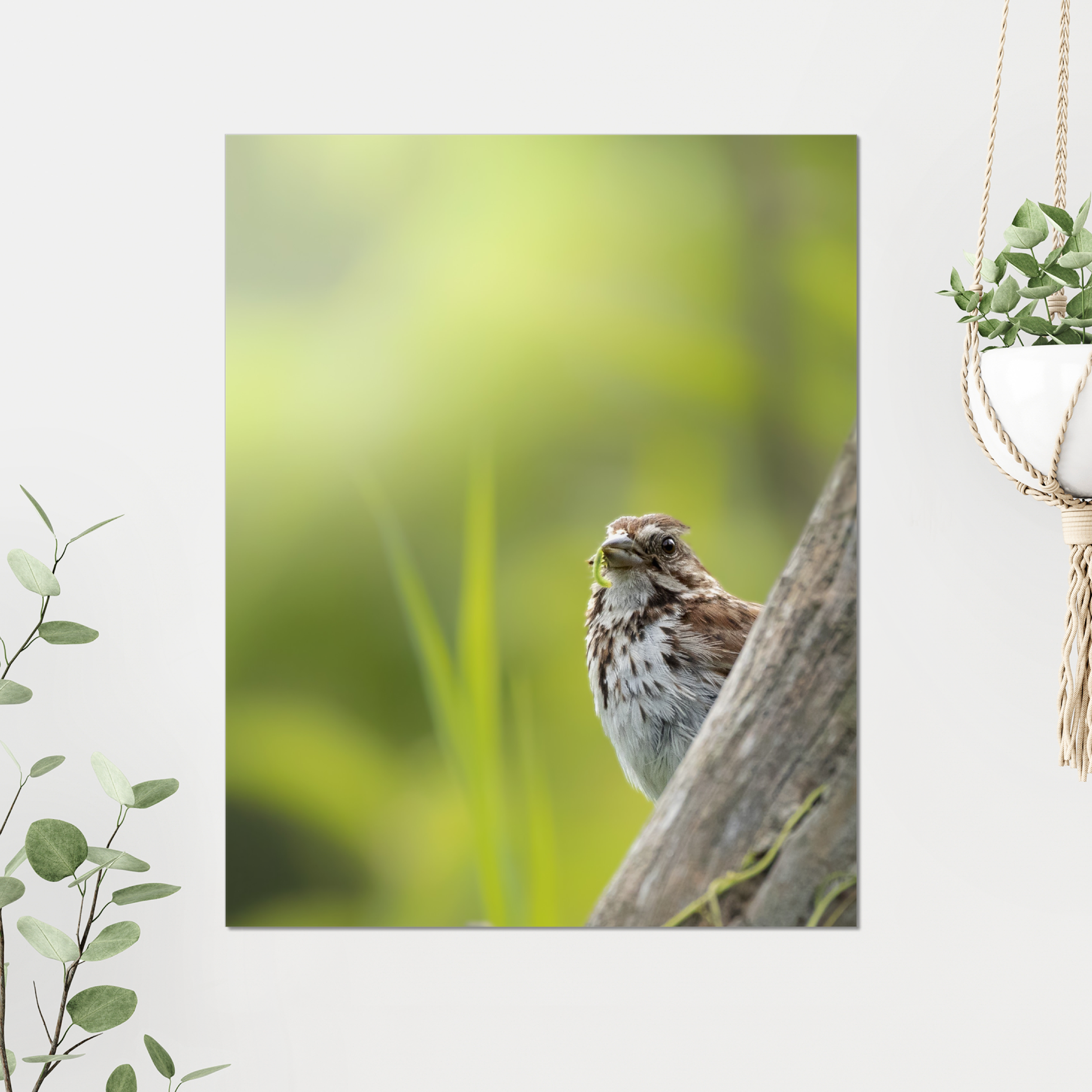 Sparrow with a Snack Photo Print