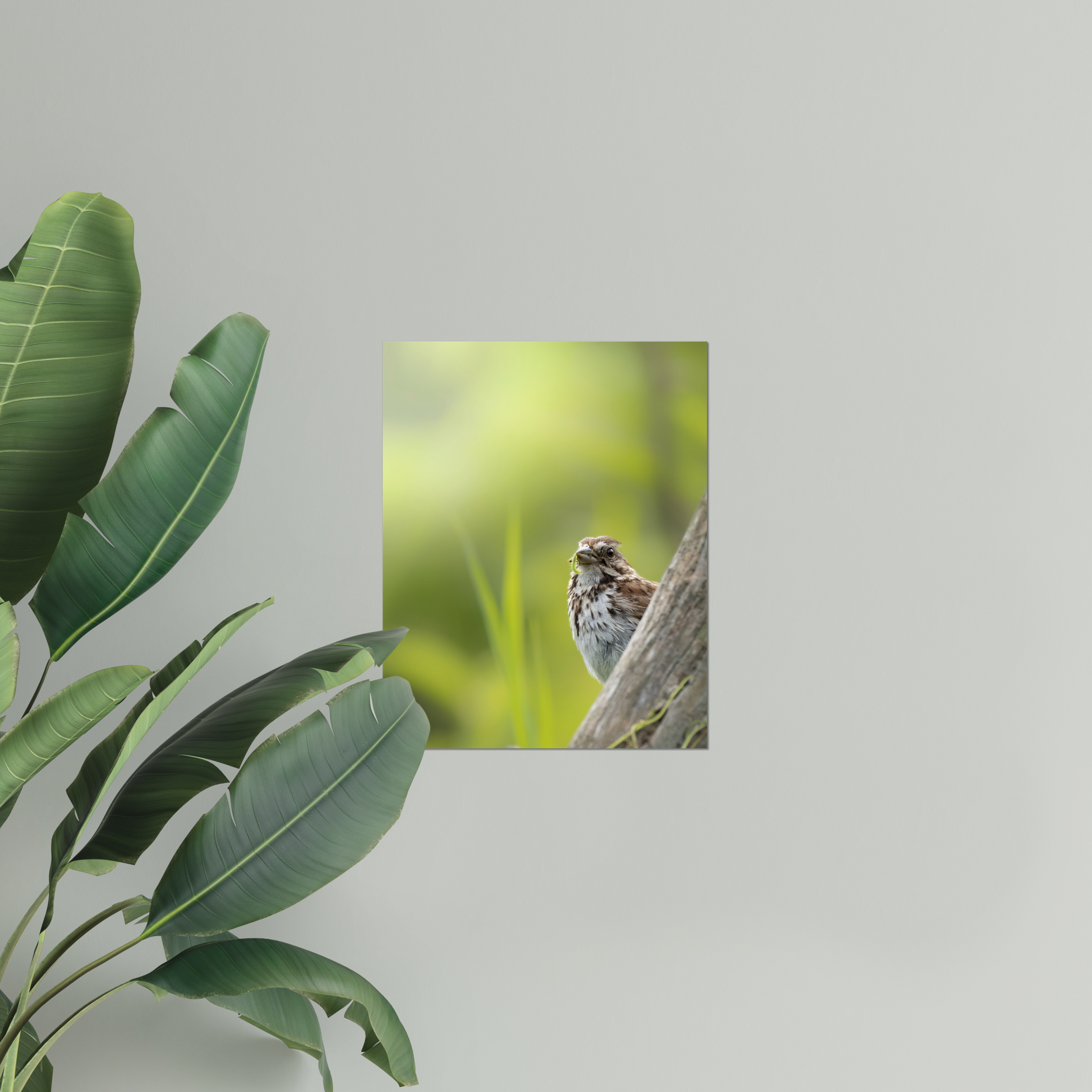 Sparrow with a Snack Photo Print