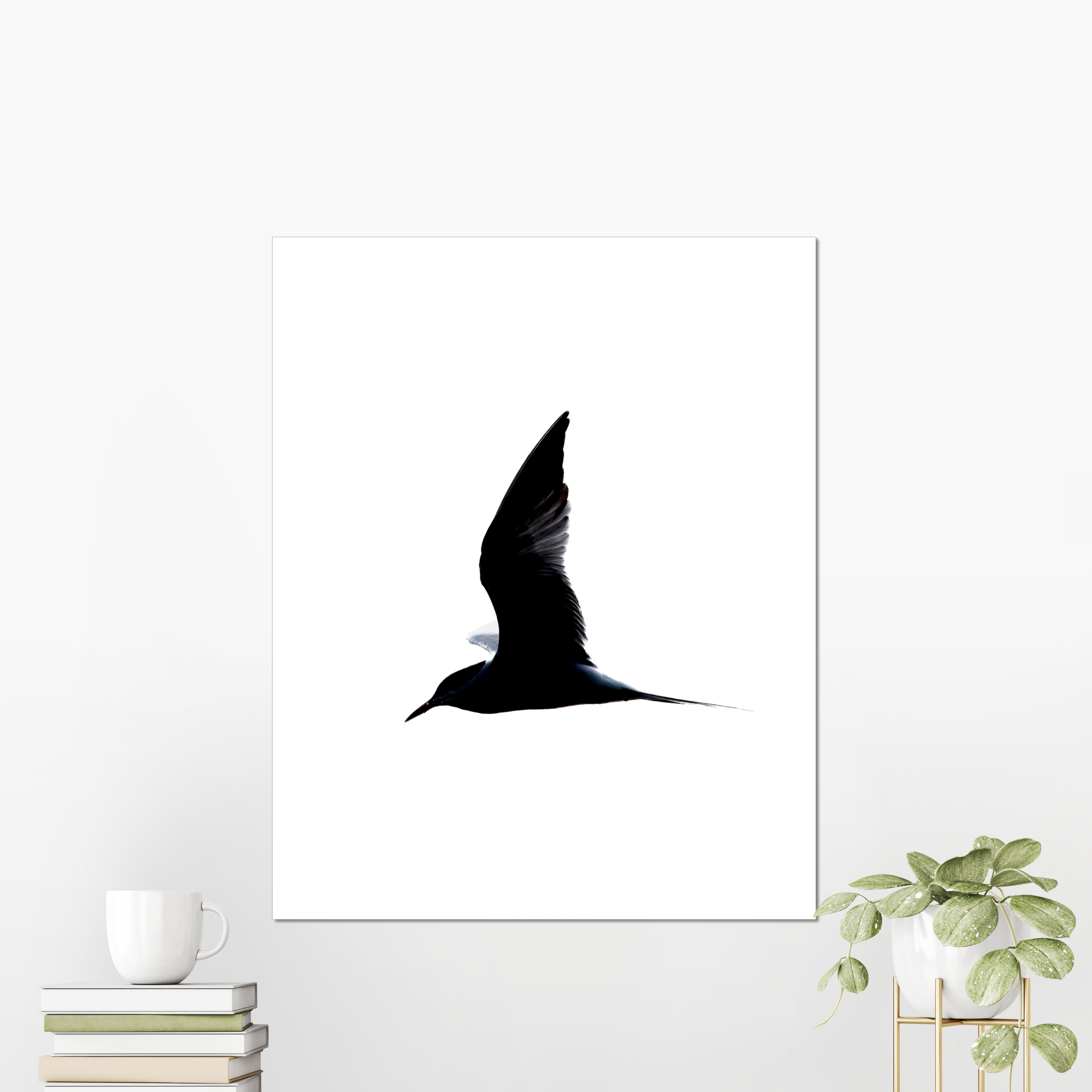 Tern Photo Print