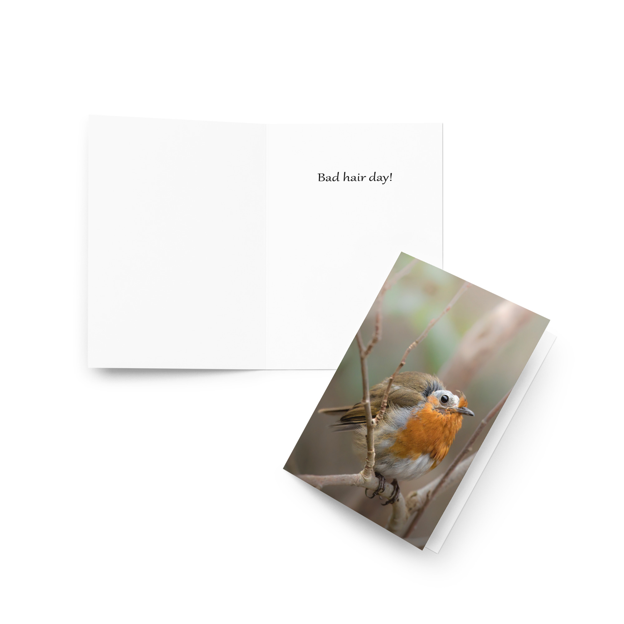 Molted Robin: Bad Hair Day Card