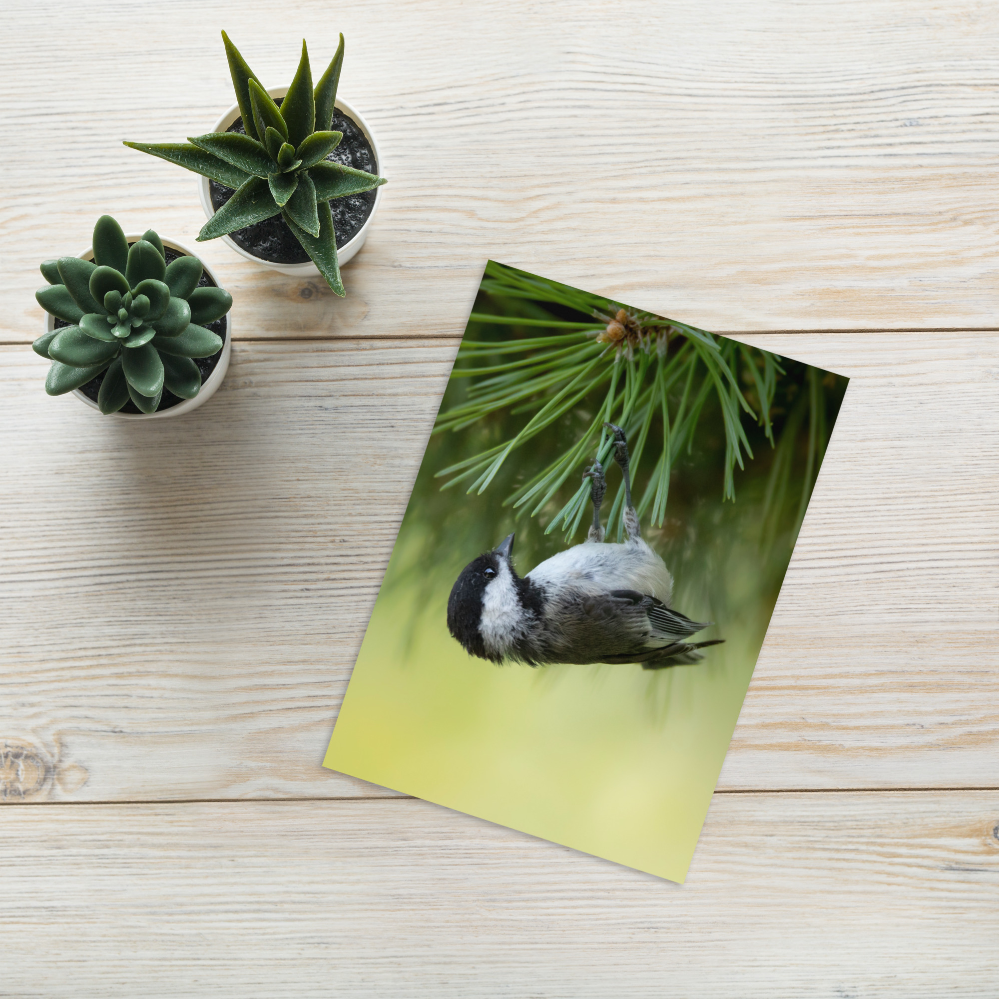 Chickadee: Hang in There Card