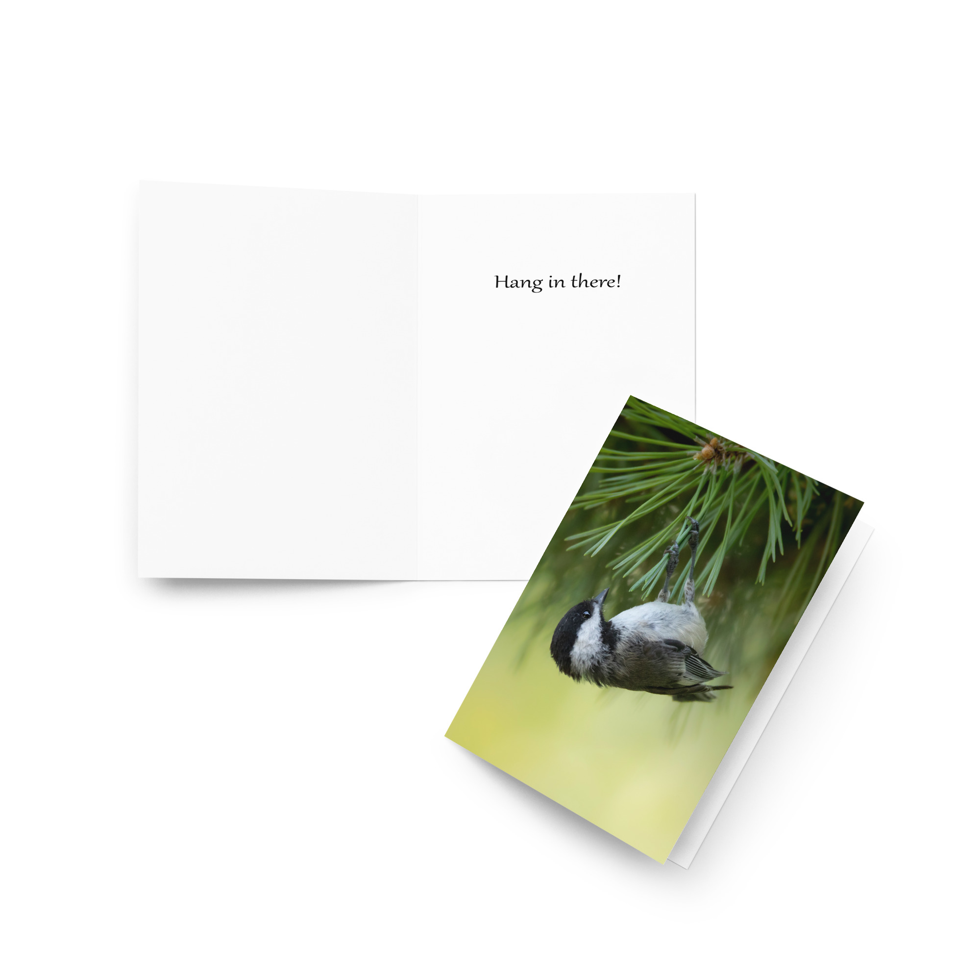 Chickadee: Hang in There Card