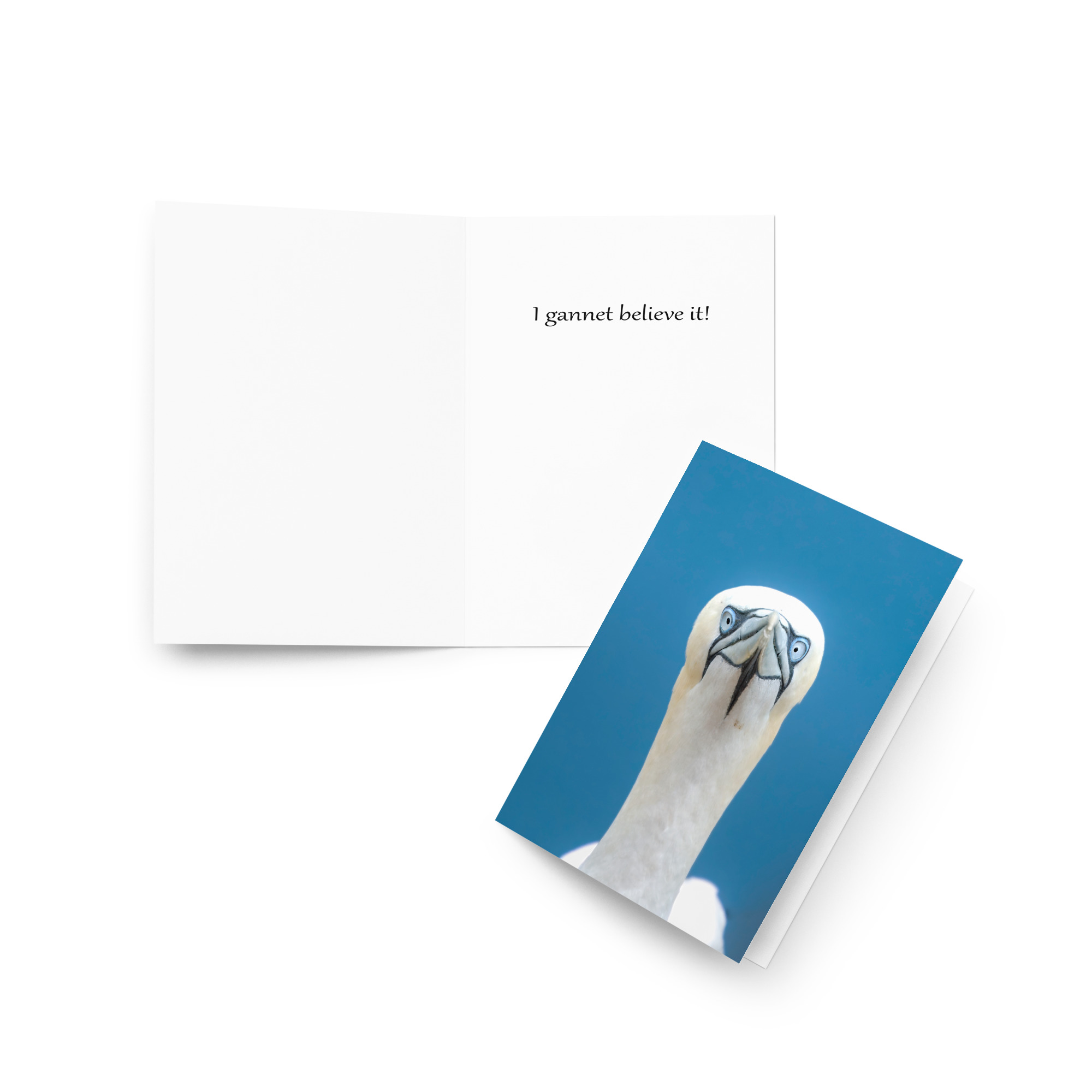 Gannet: I gannet believe it Card