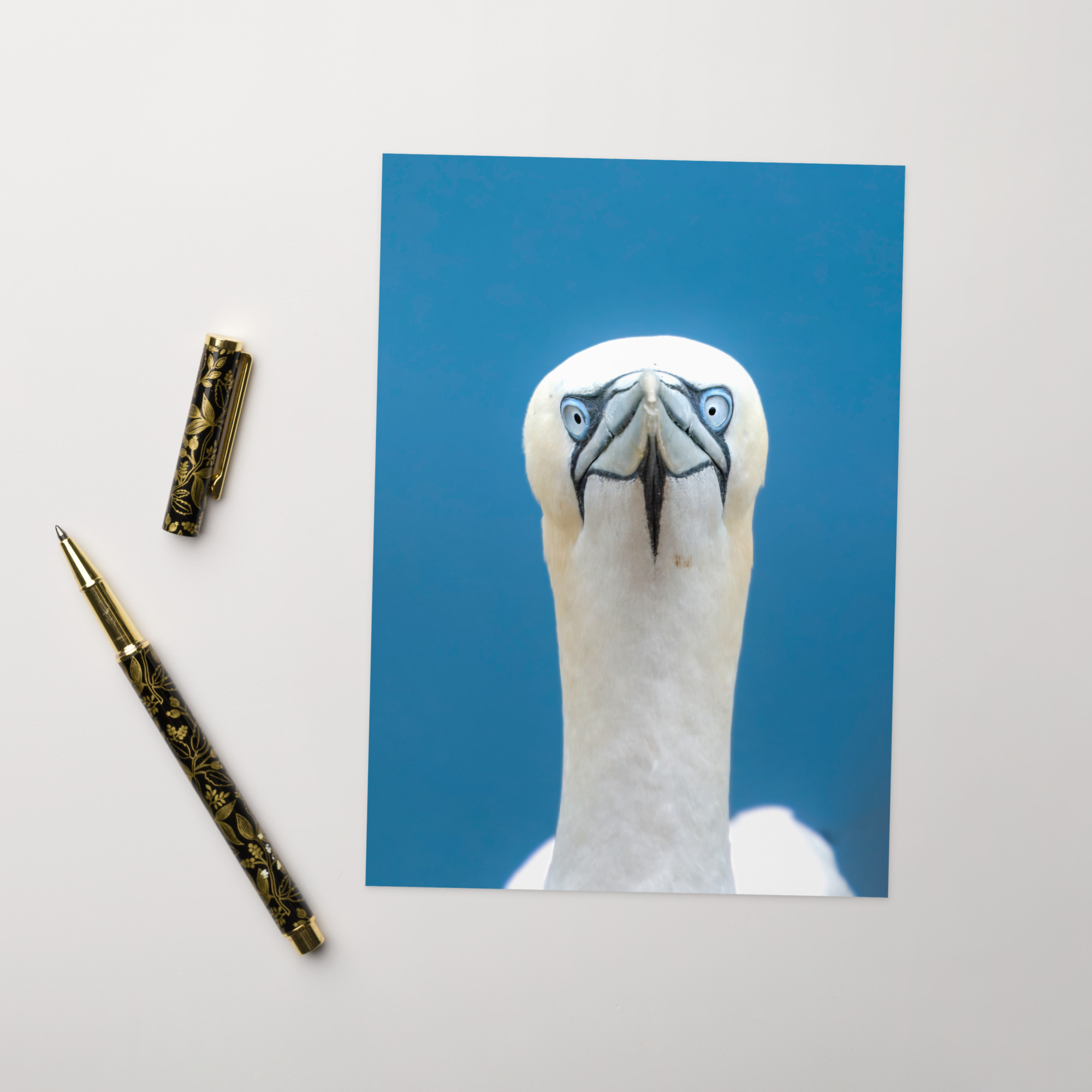 Gannet: I gannet believe it Card