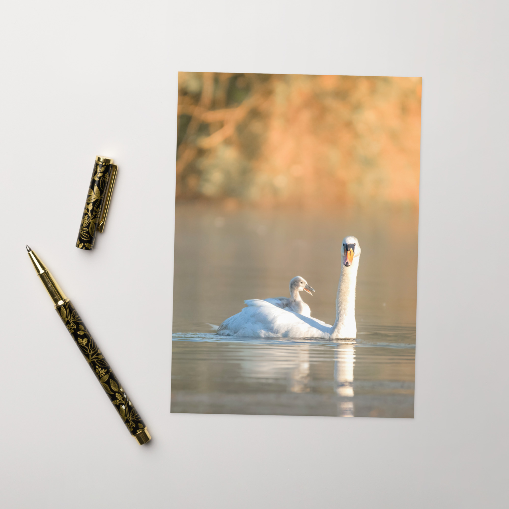 Swan: I've got your back Card