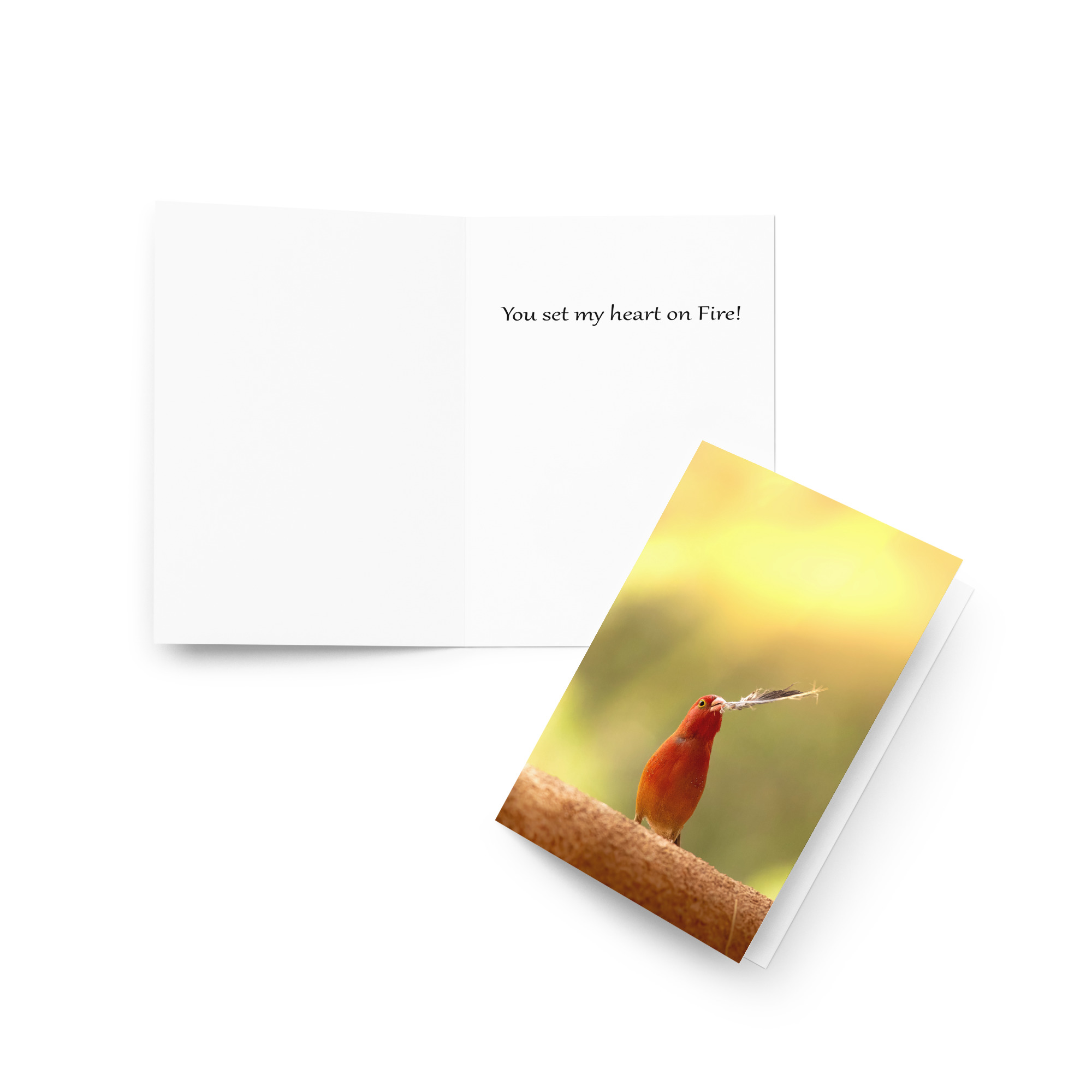 Firefinch: You set my heart on fire Card
