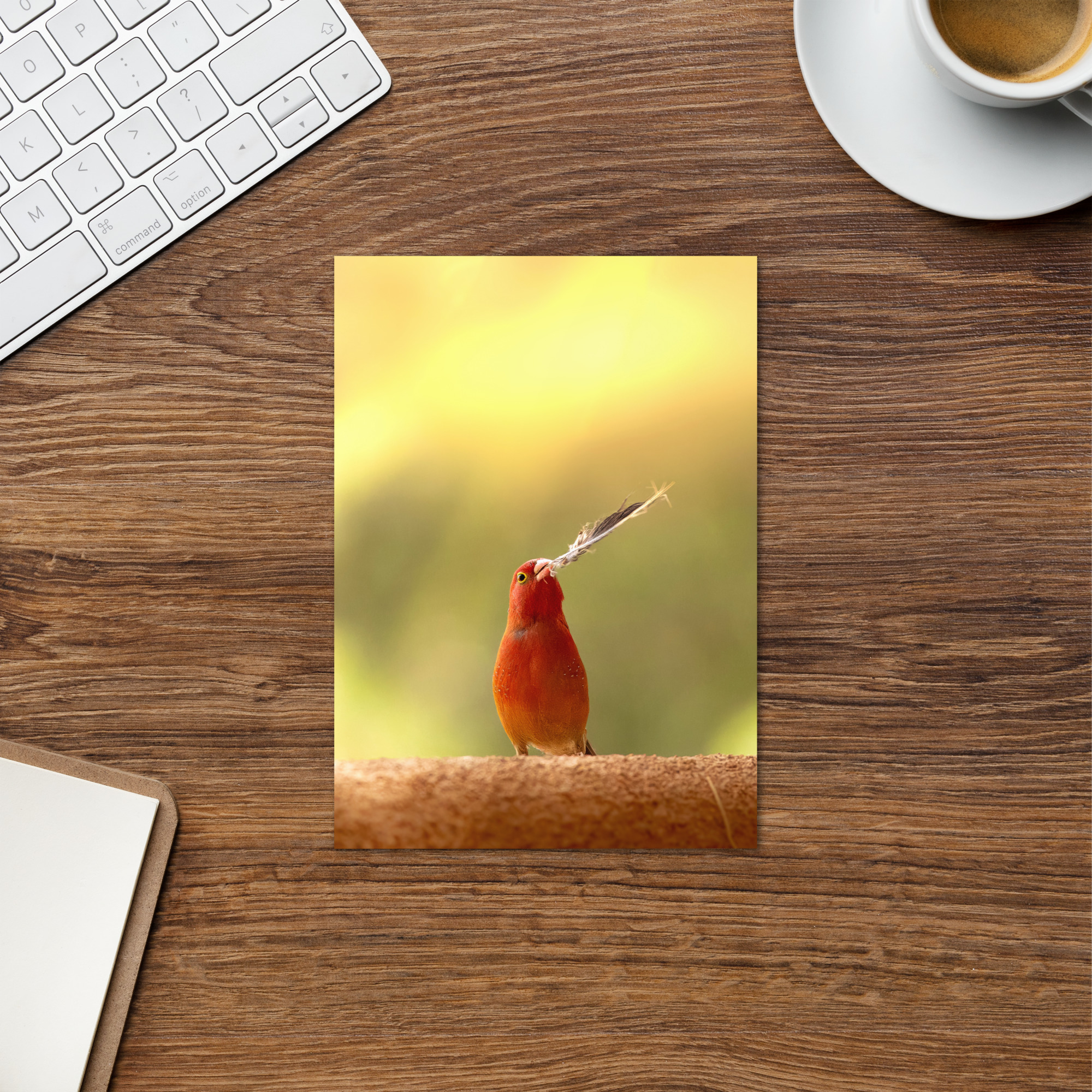 Firefinch: You set my heart on fire Card