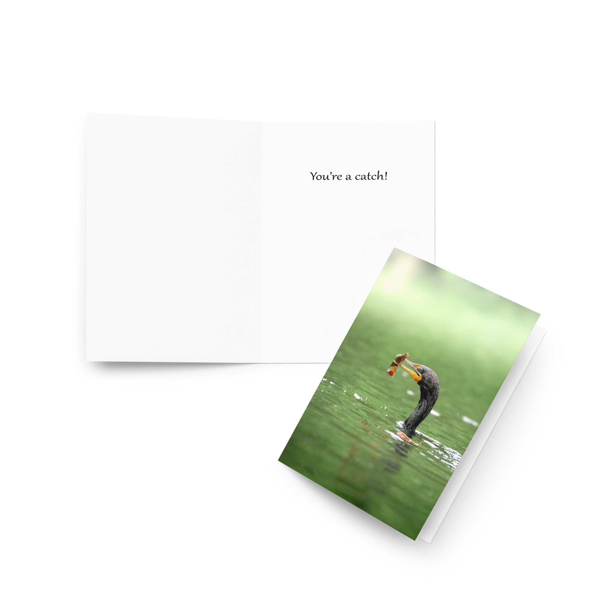 Cormorant: You're a catch Card