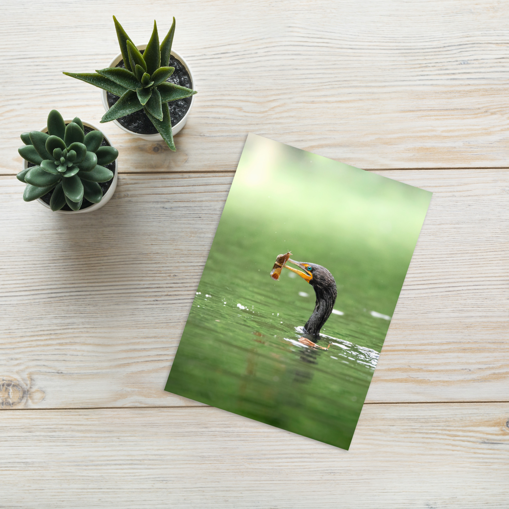 Cormorant: You're a catch Card