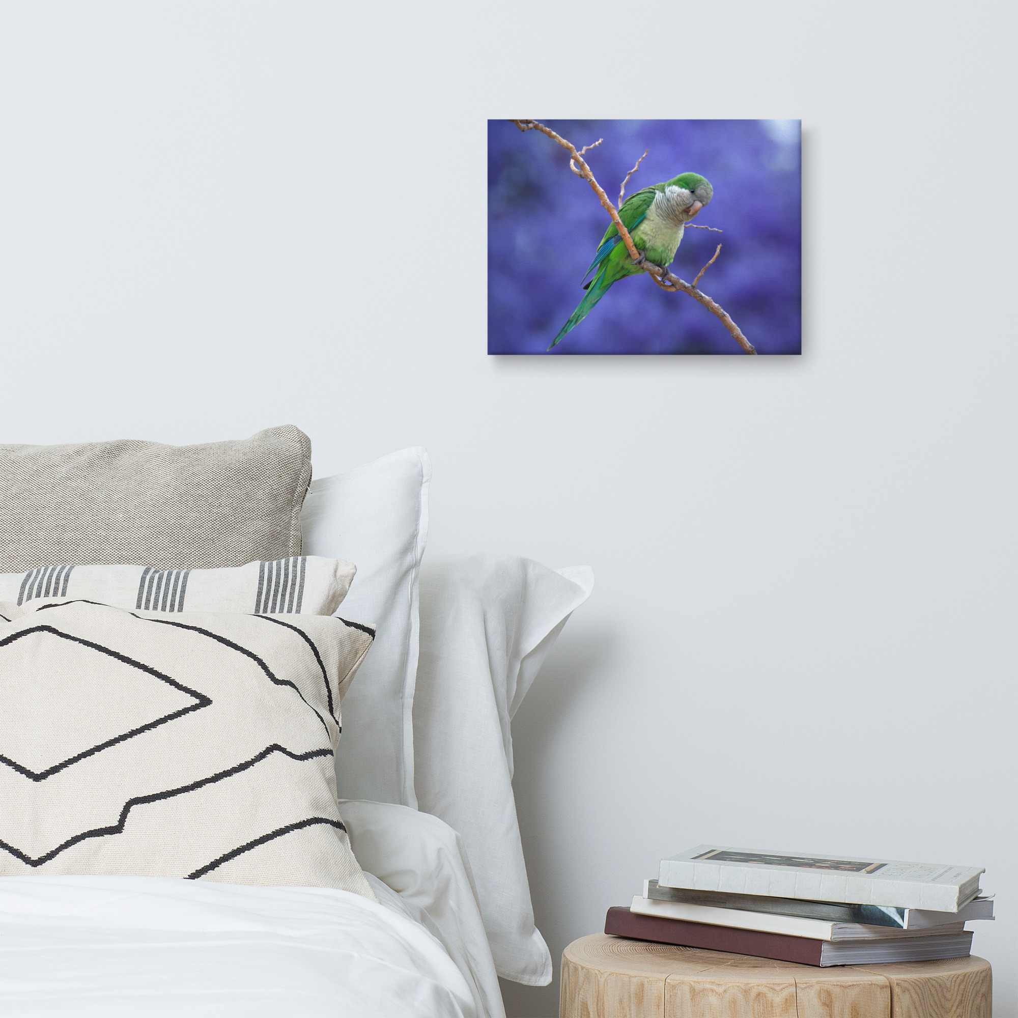 Parakeet Canvas