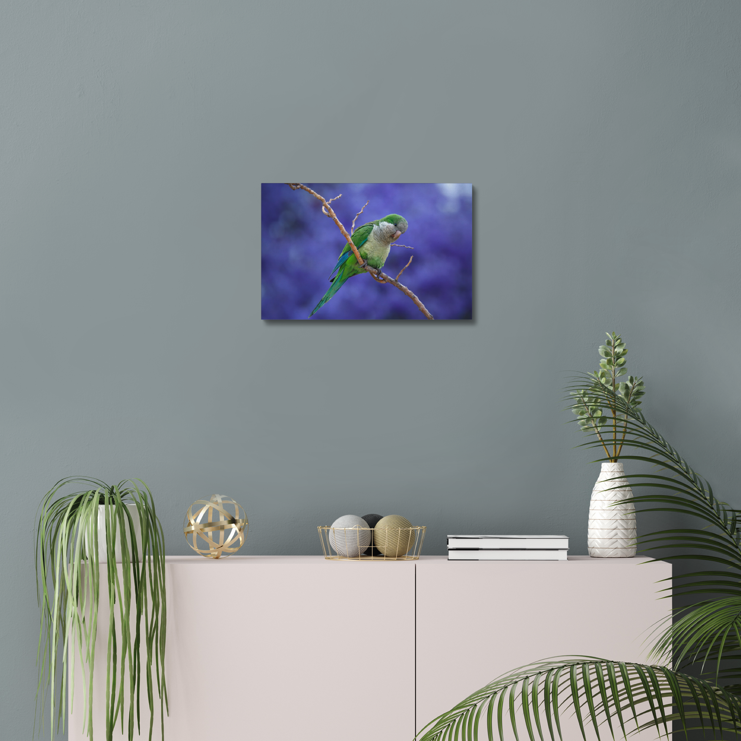 Parakeet Canvas