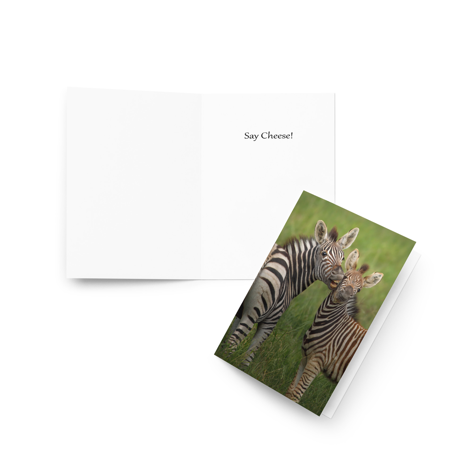 Zebra: Say Cheese
