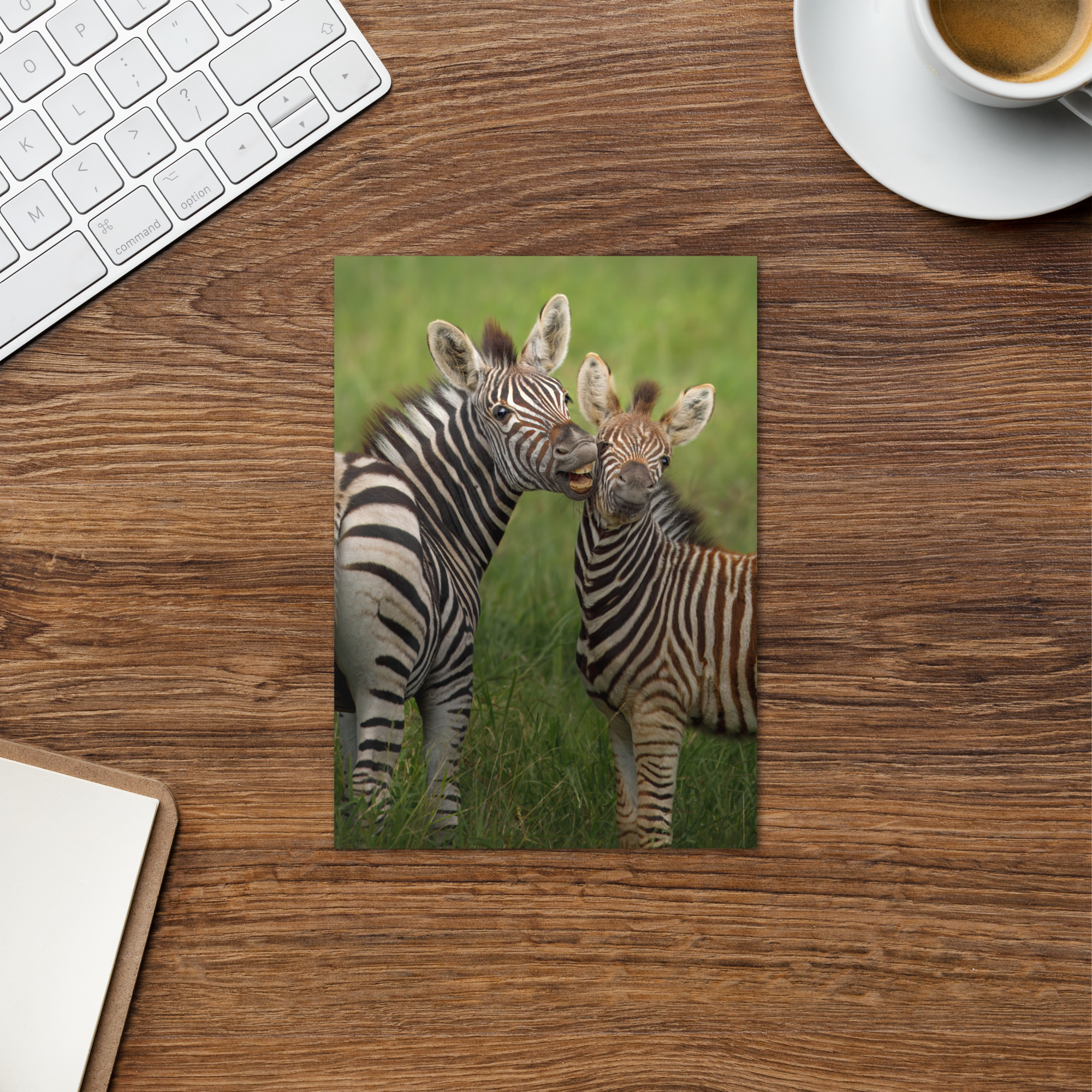 Zebra: Say Cheese