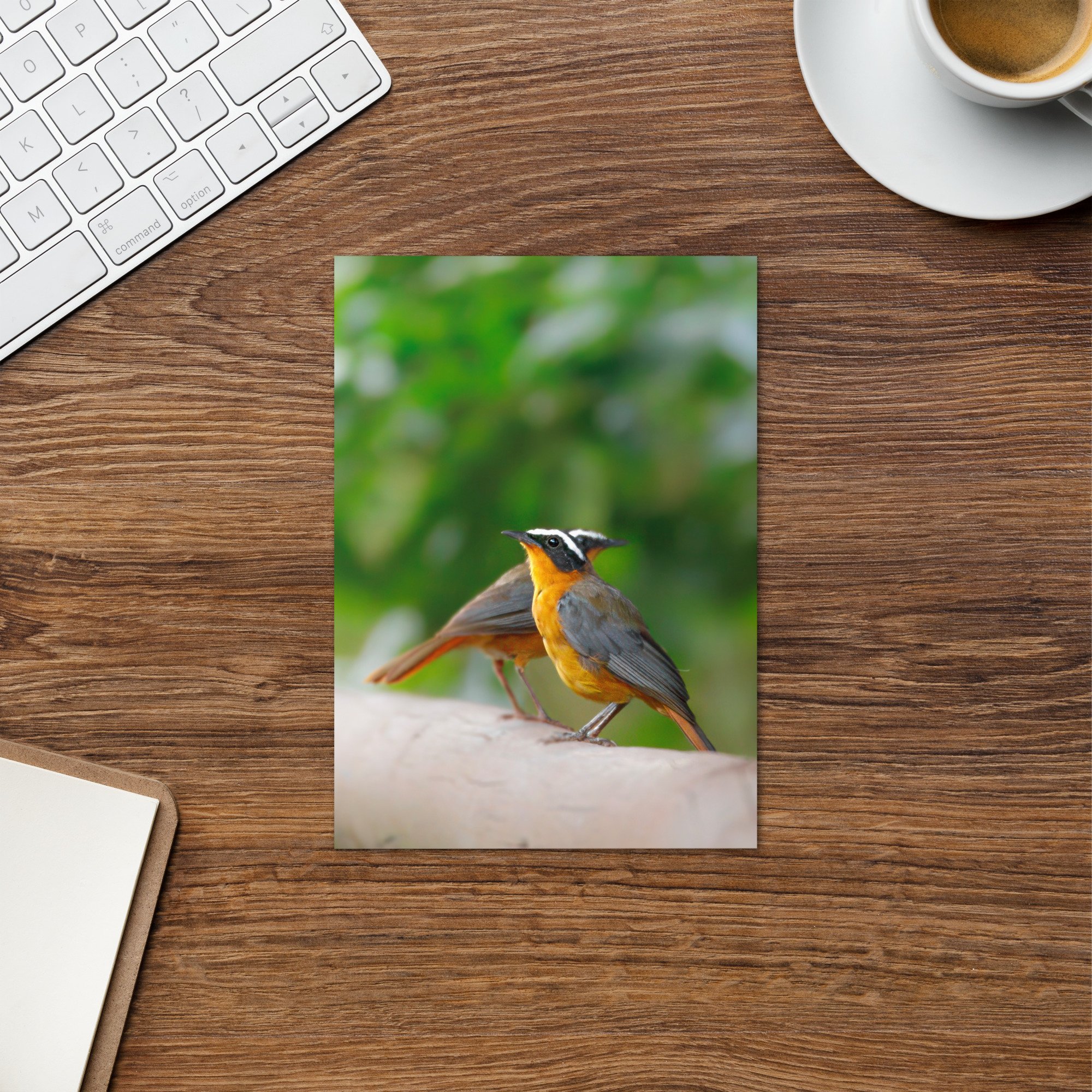 Robin-Chat: I love our chats
