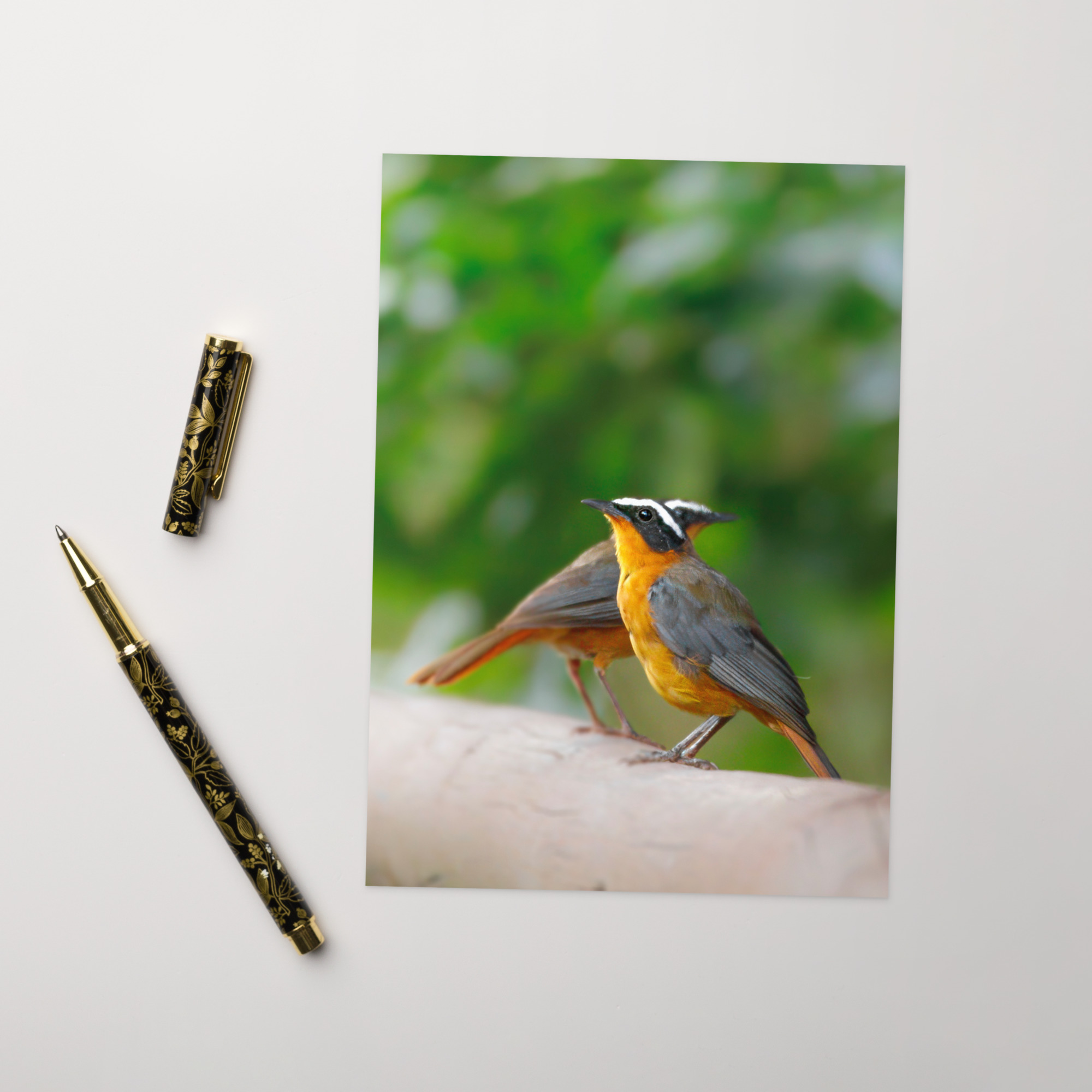 Robin-Chat: I love our chats