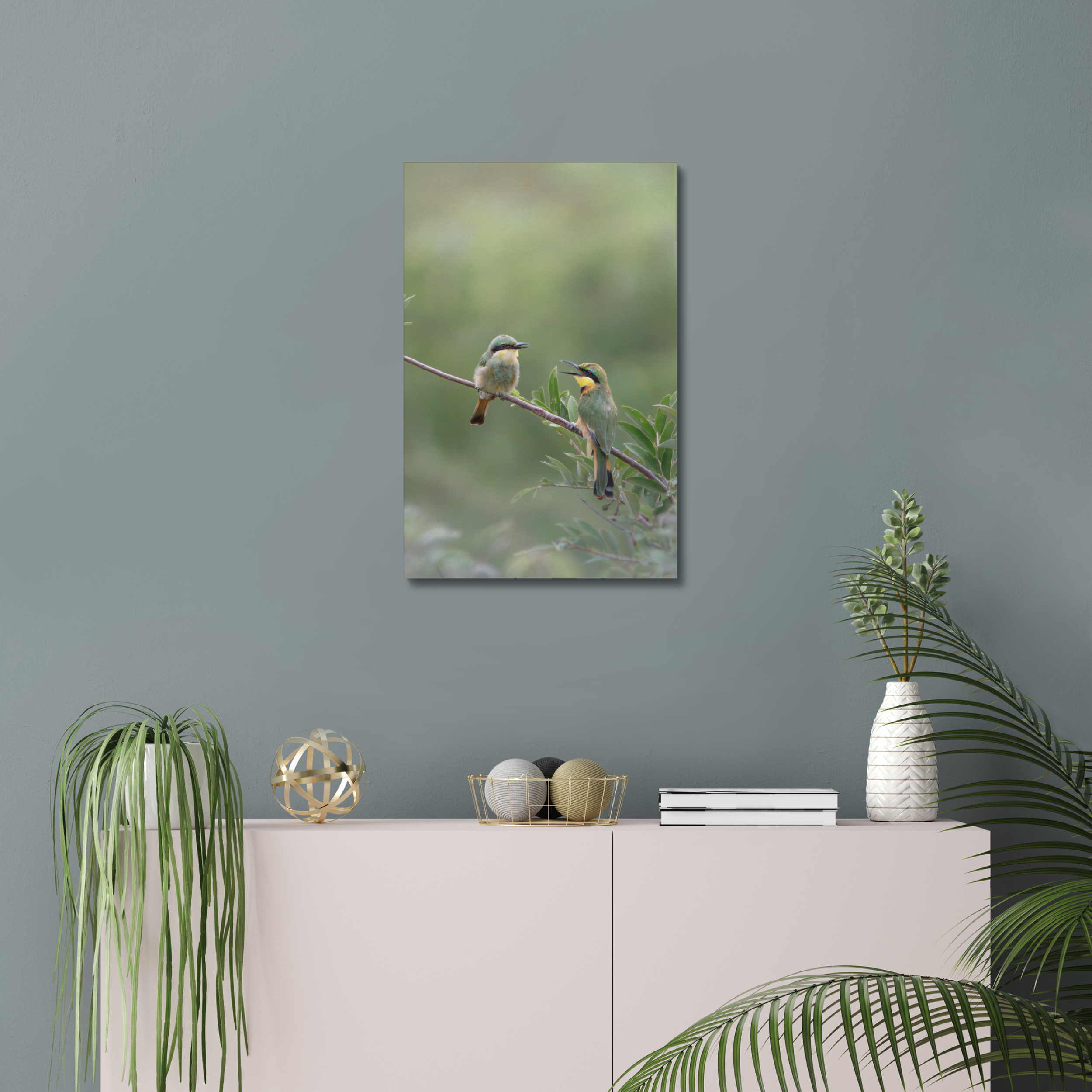 Little Bee-eater Canvas
