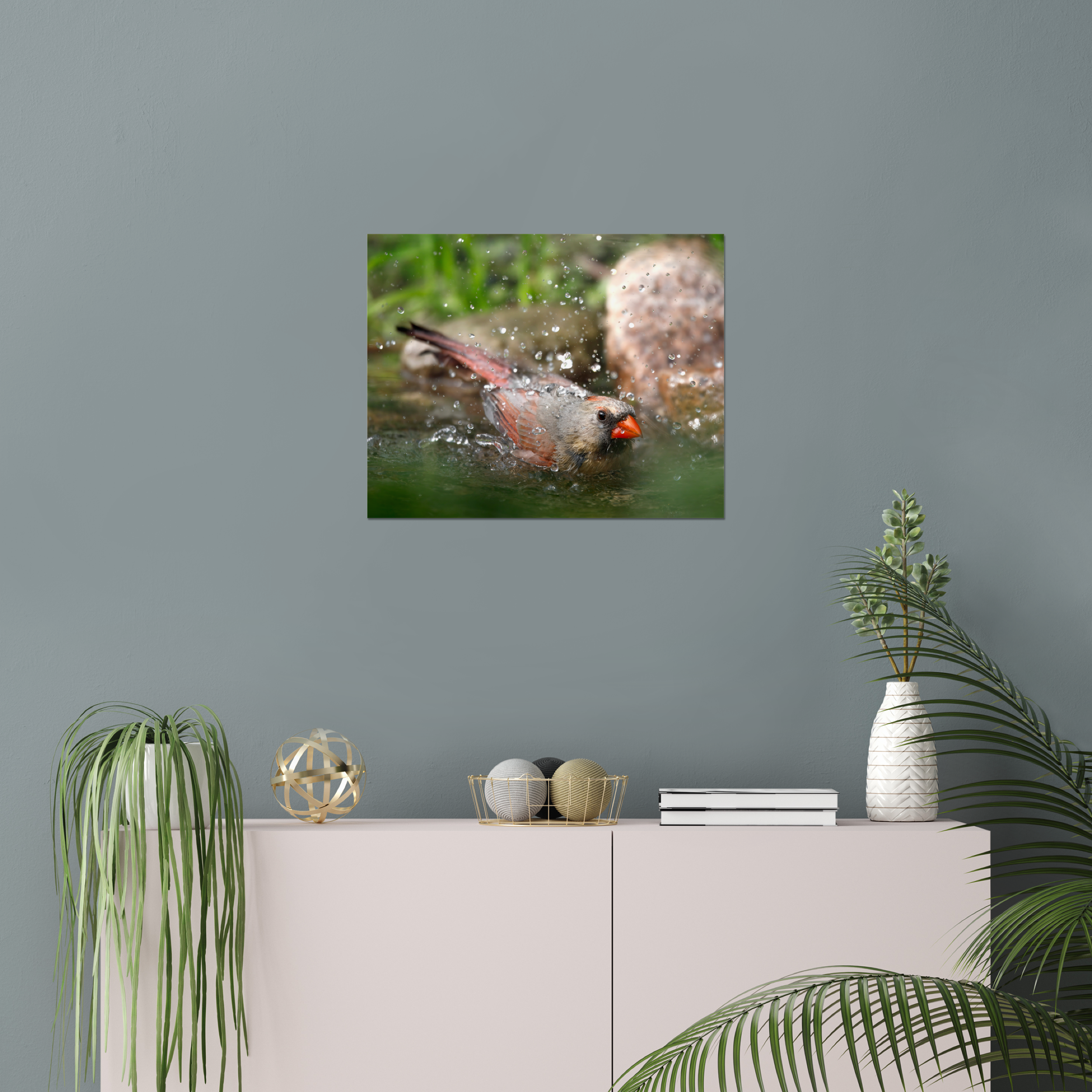 Cardinal Bath Photo Print
