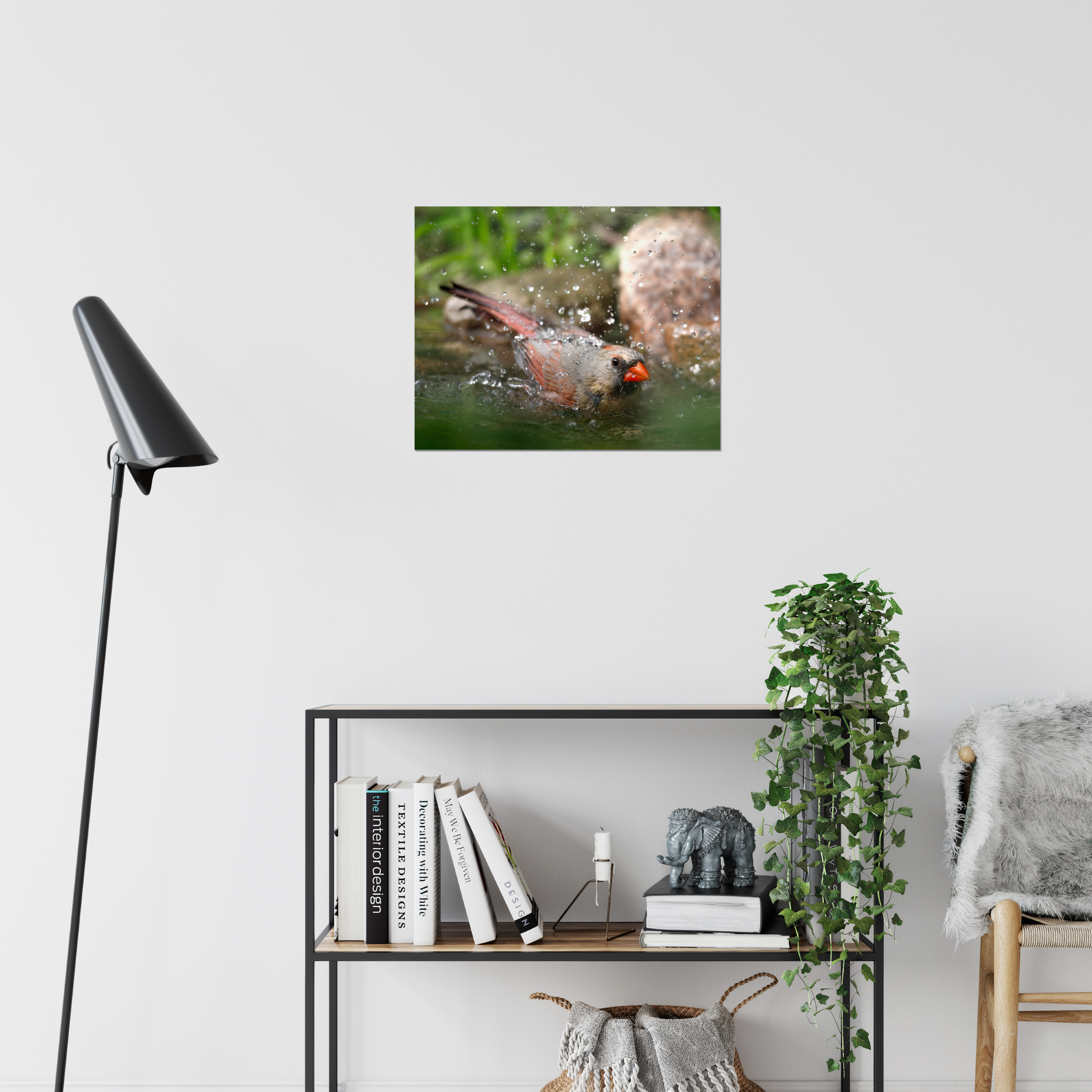 Cardinal Bath Photo Print