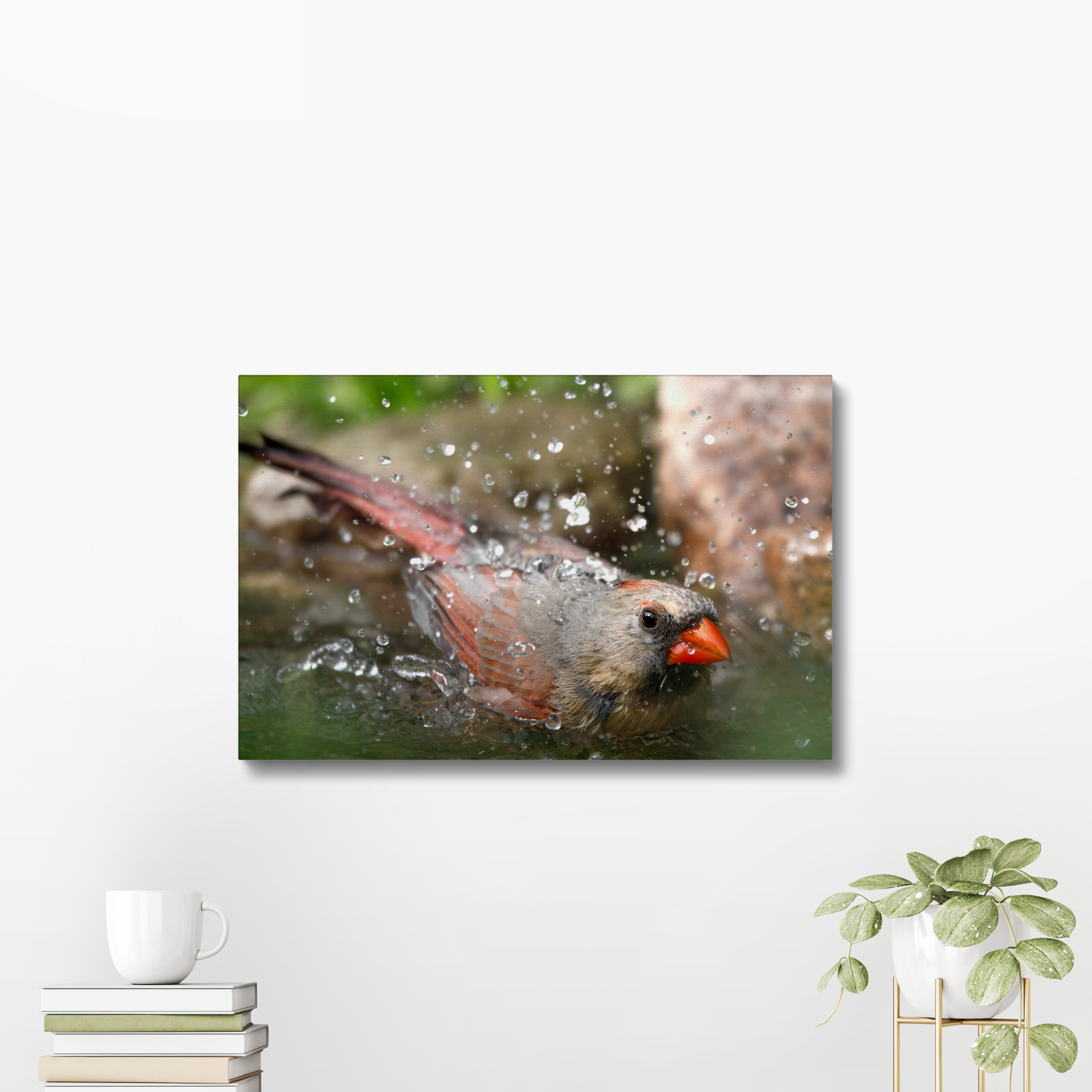 Cardinal Bath