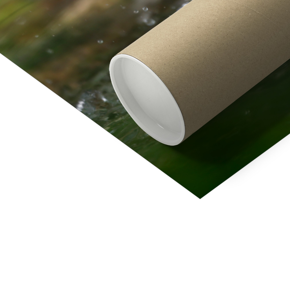 Cardinal Bath Photo Print