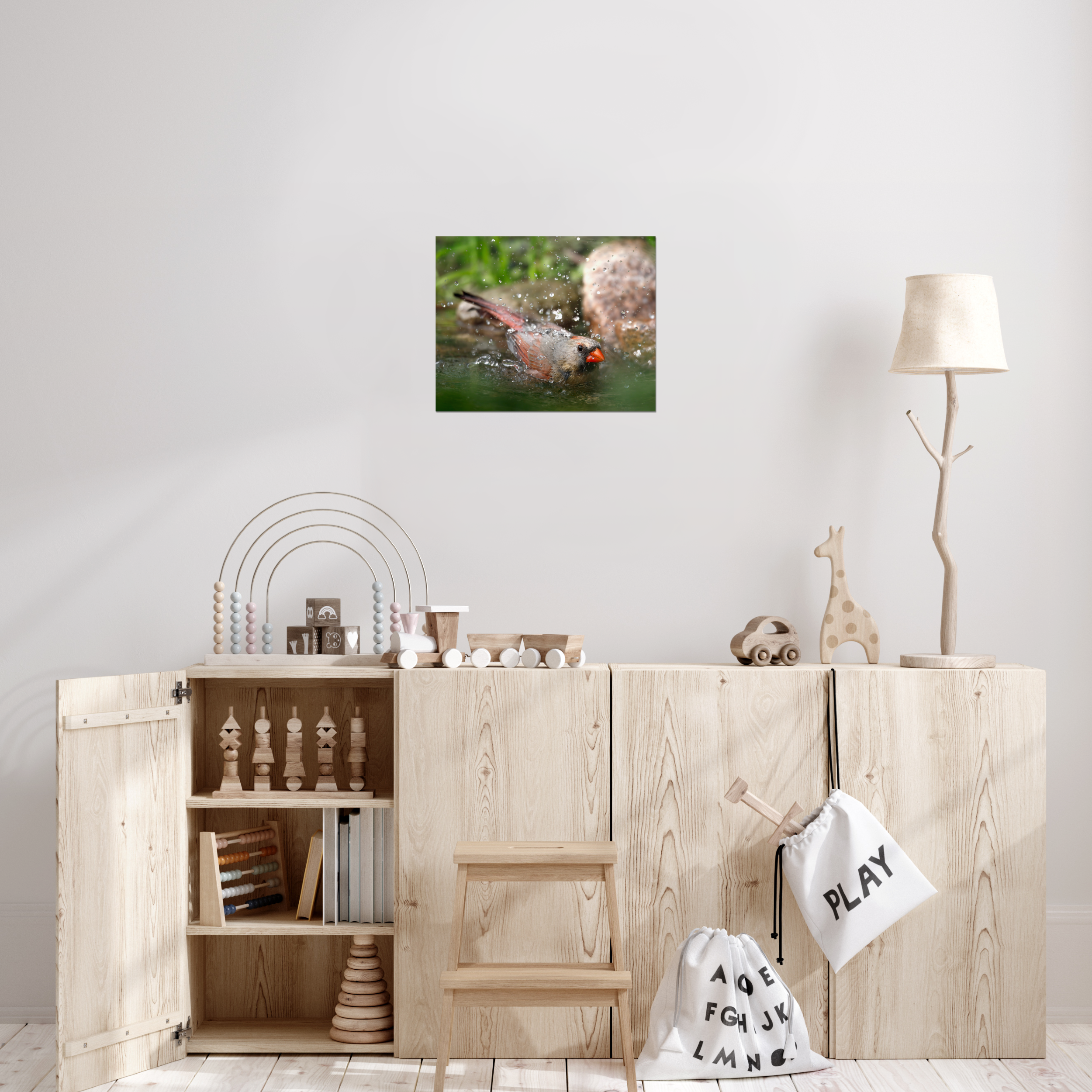 Cardinal Bath Photo Print