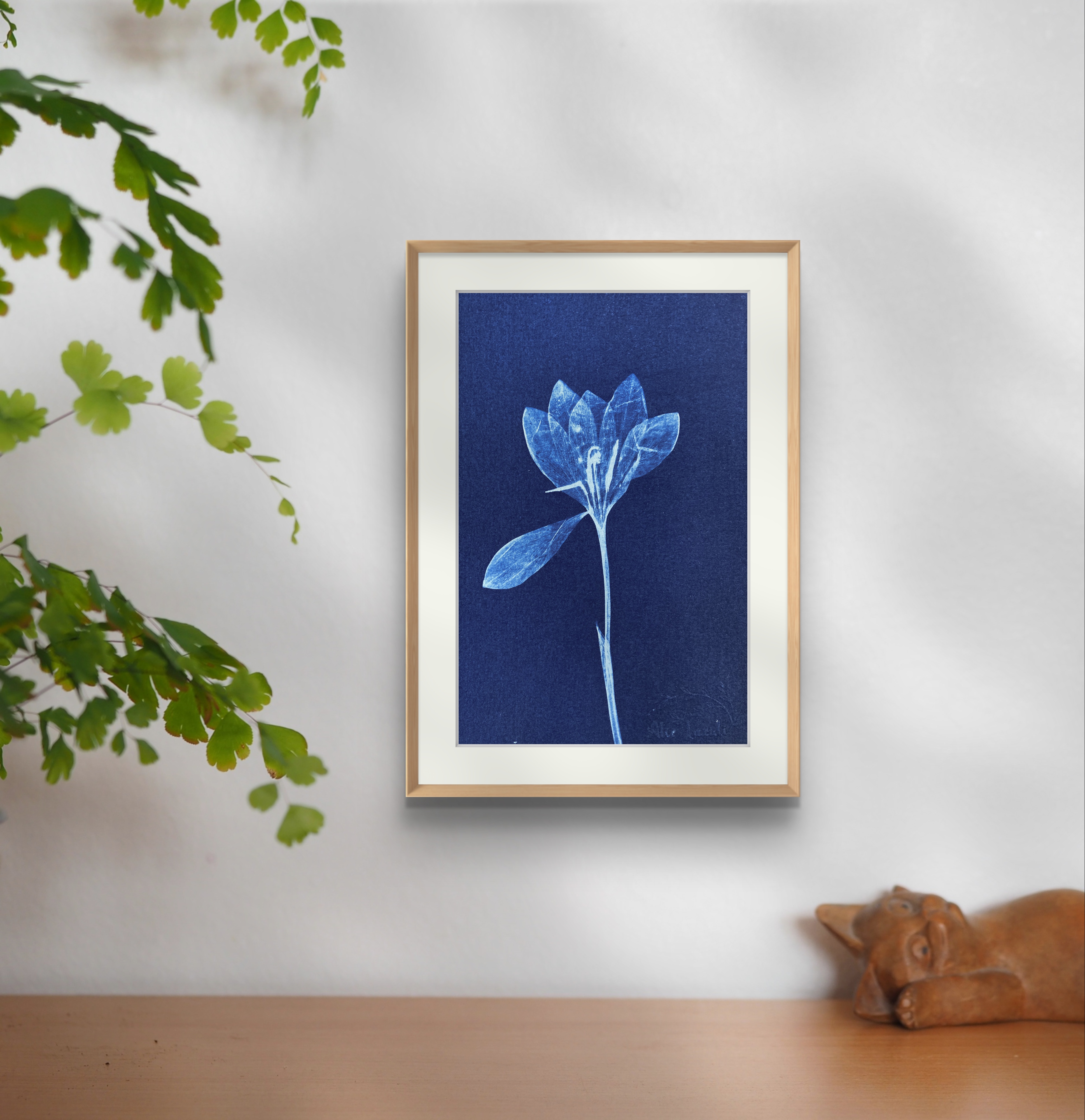 Crocus  - 10x15