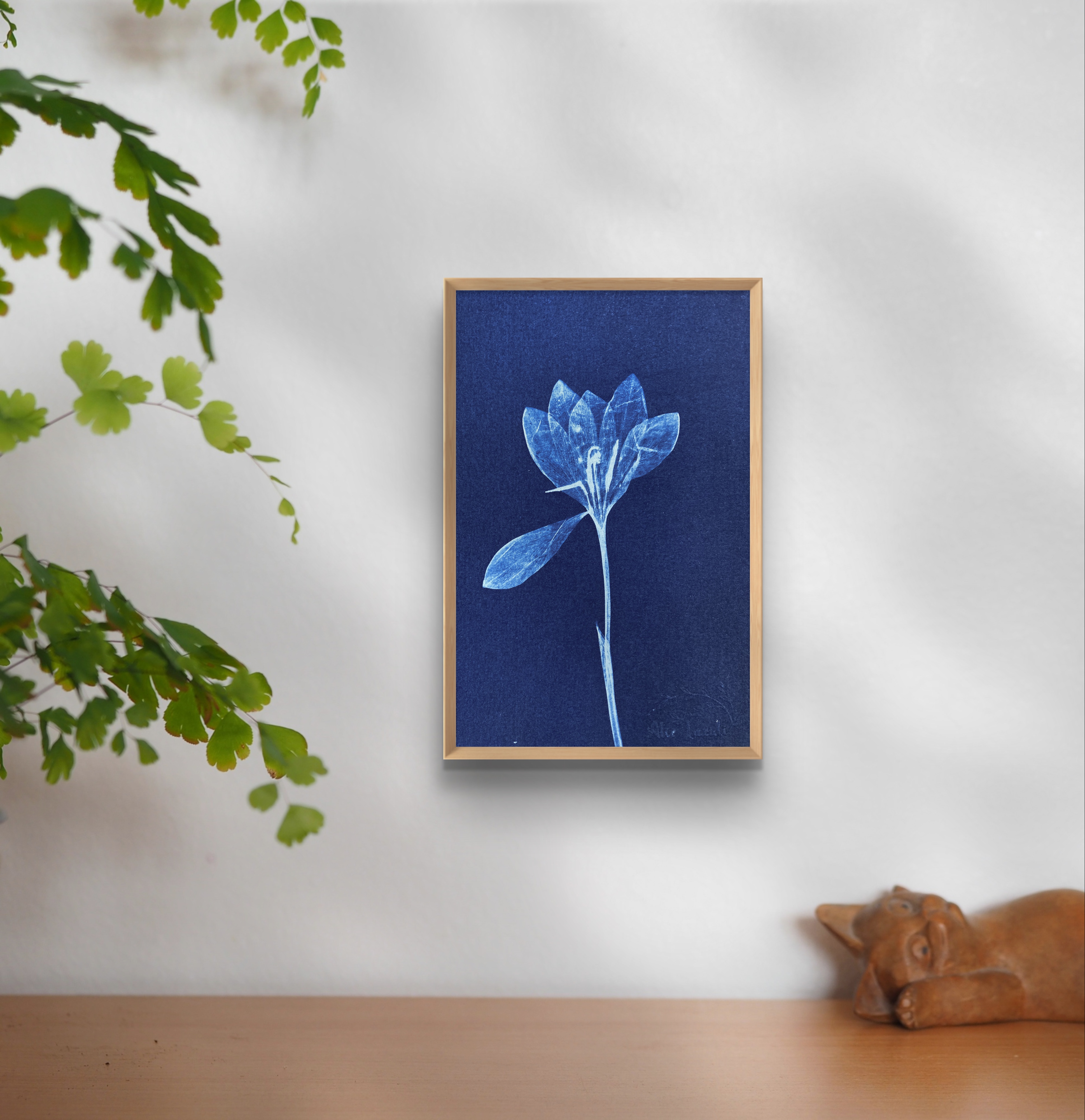Crocus  - 10x15