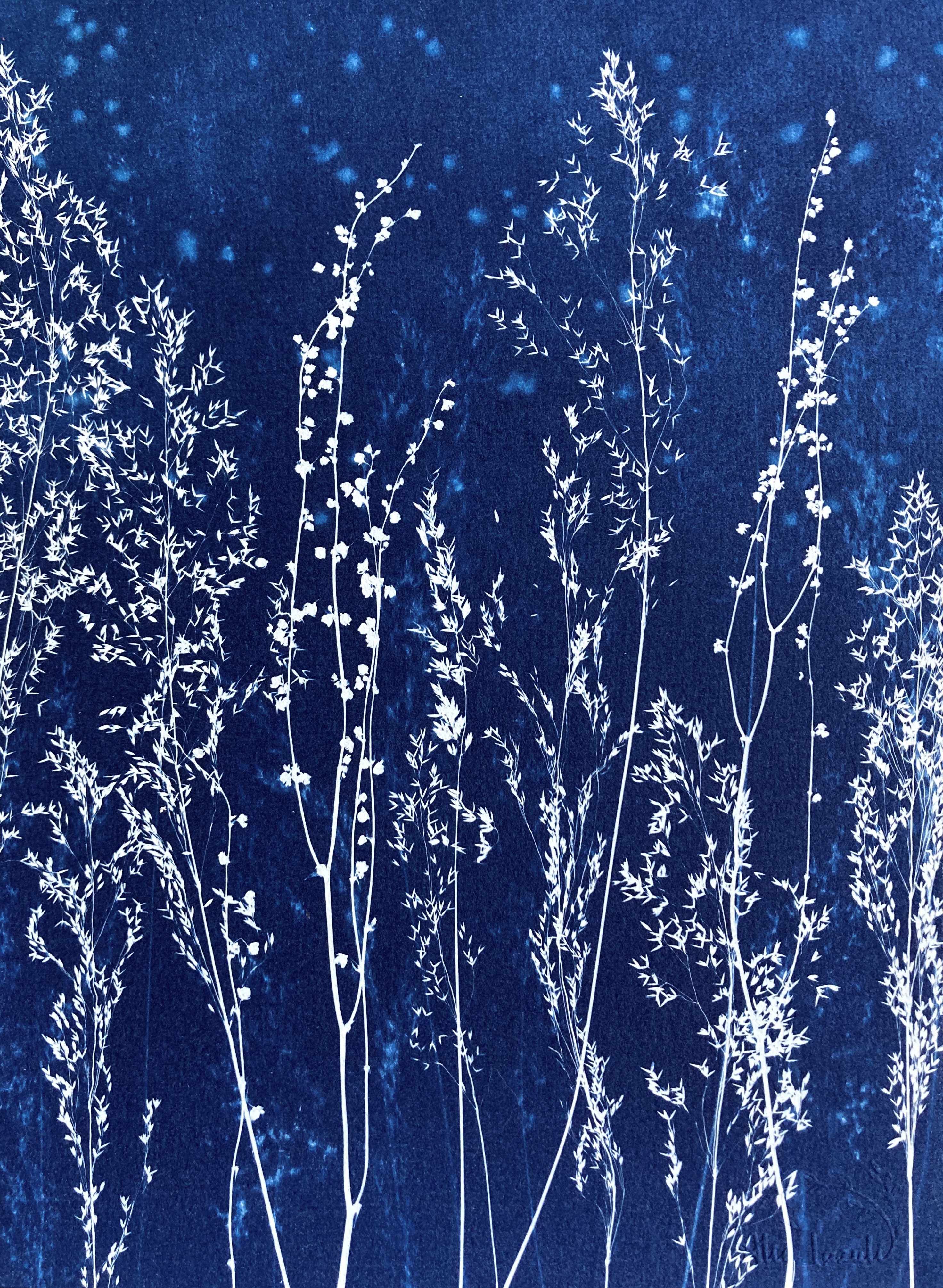 Une Nuit au Jardin - 18x24