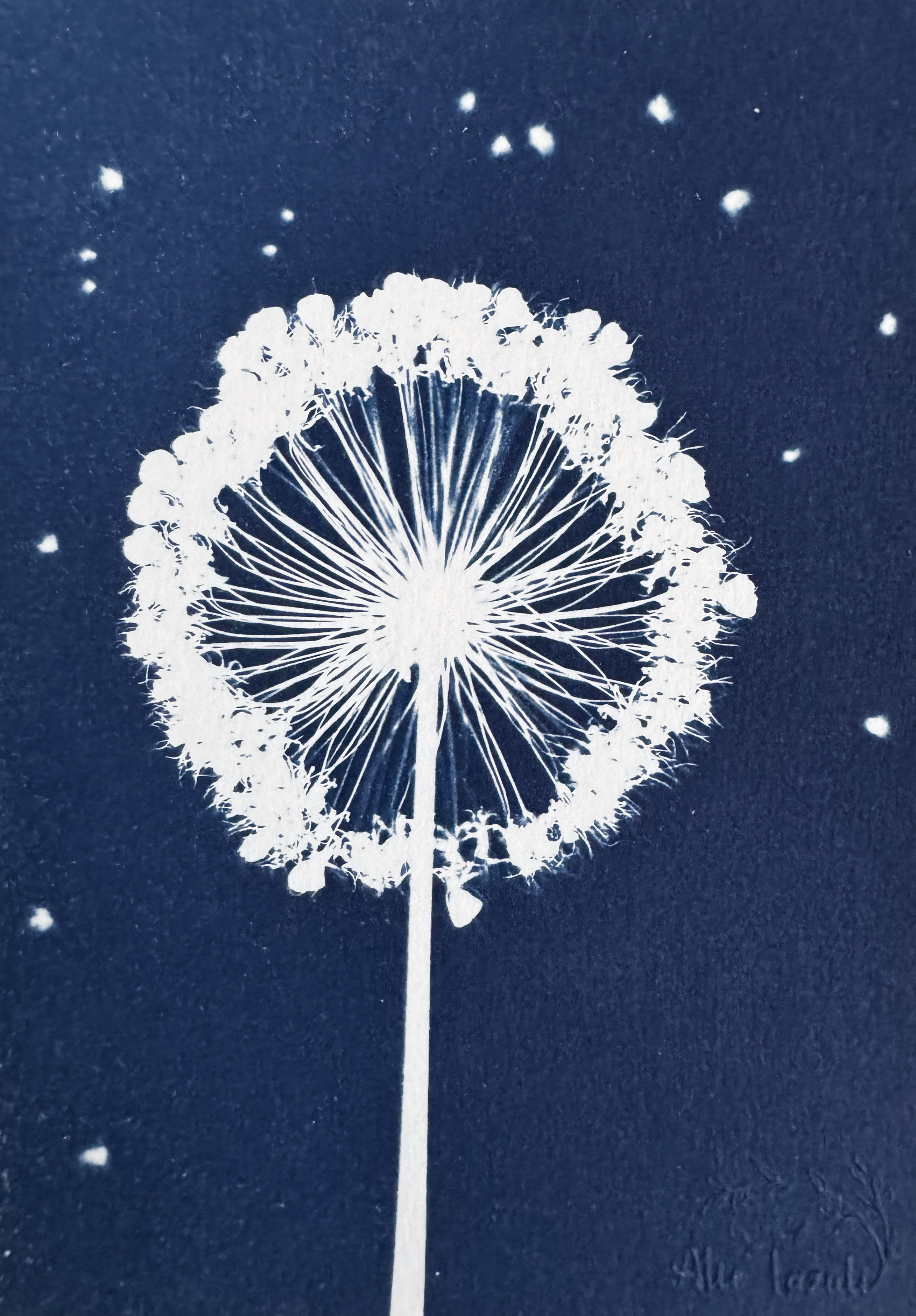 Fleur Flocon - 13x18