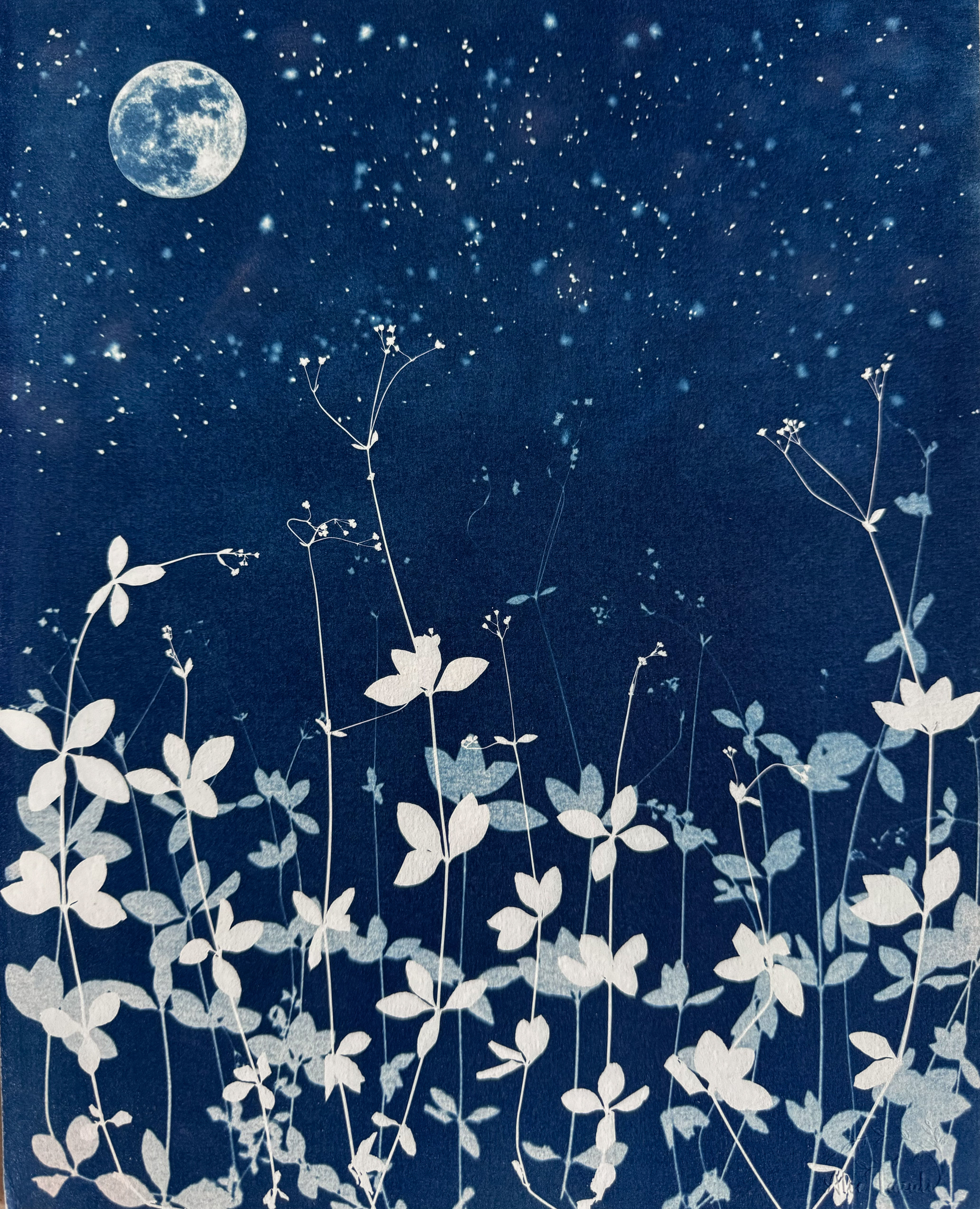 Par une Nuit d'Été - 24x30