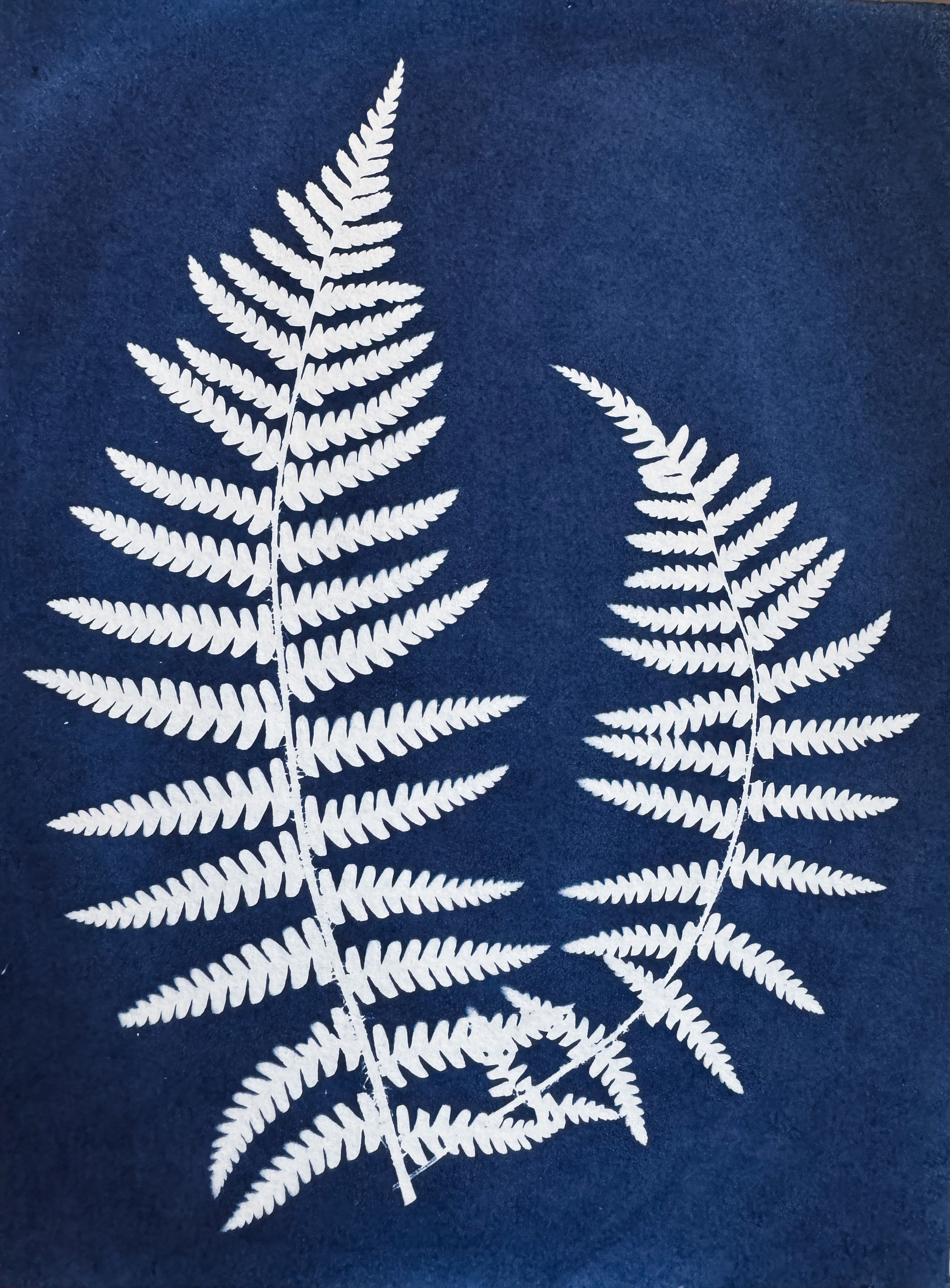 L'Âme de la Forêt - 15x20