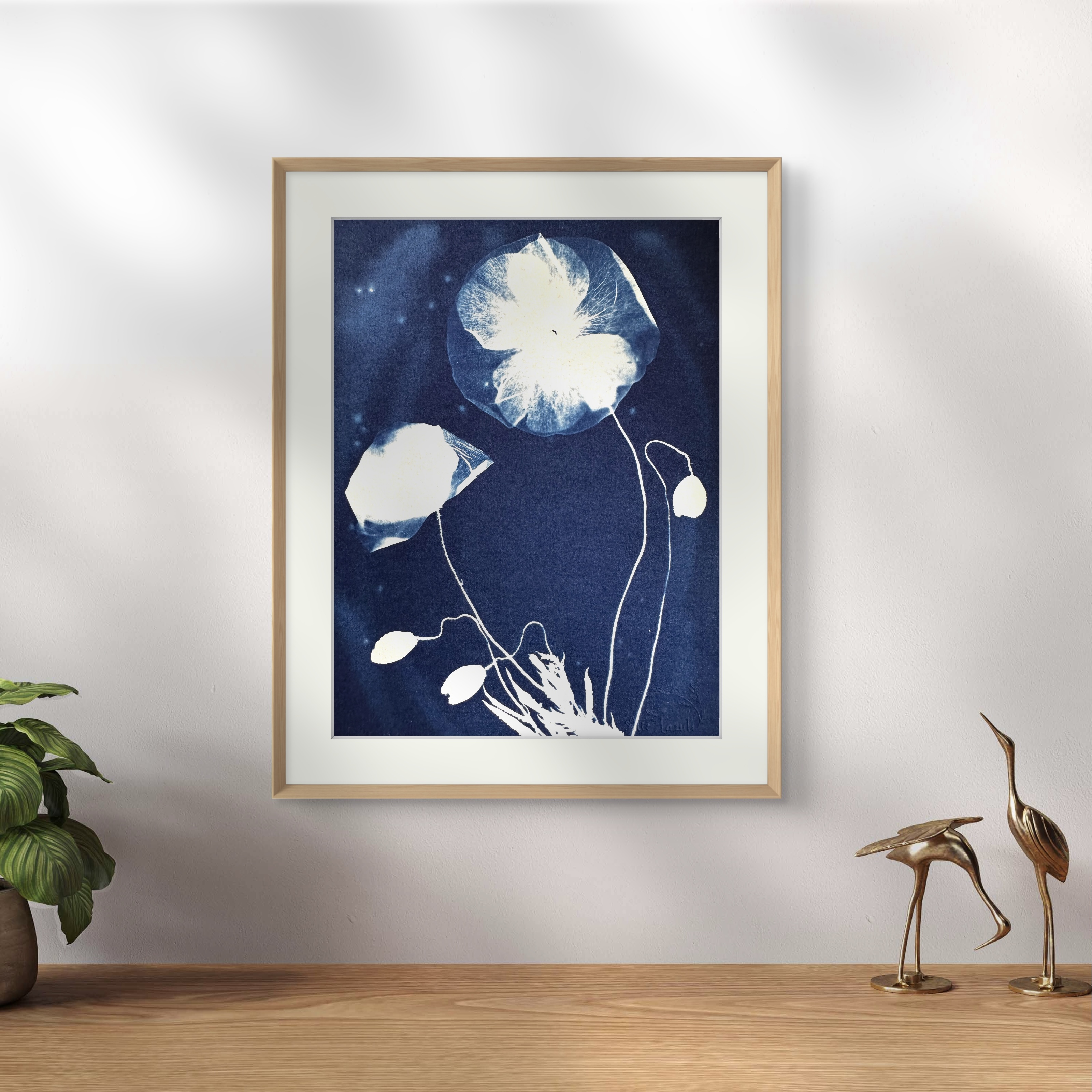 Fleurs en Apesanteur - 15x20