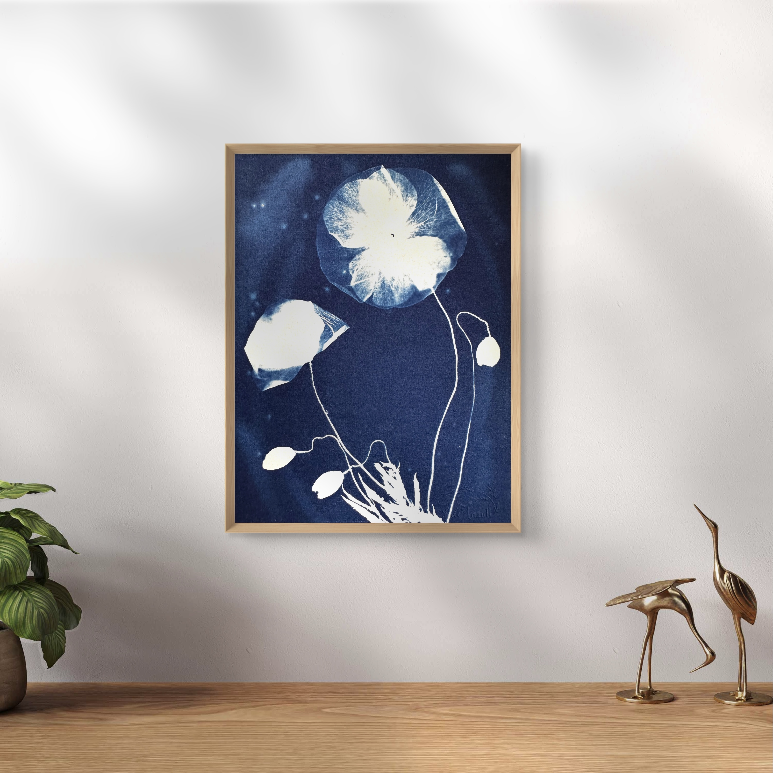 Fleurs en Apesanteur - 15x20