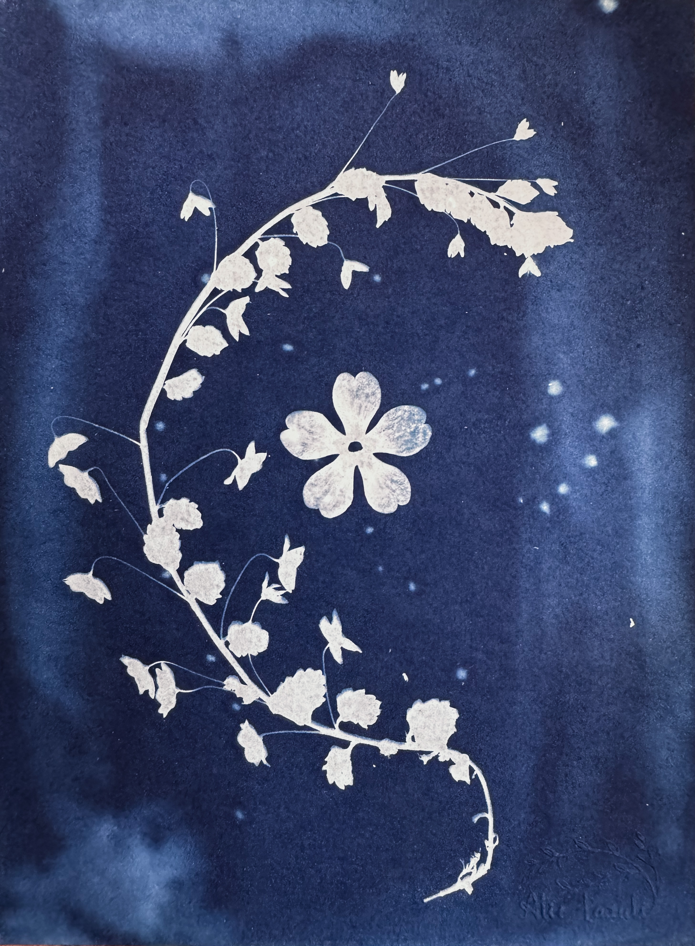 Berceau Floral - 15x20