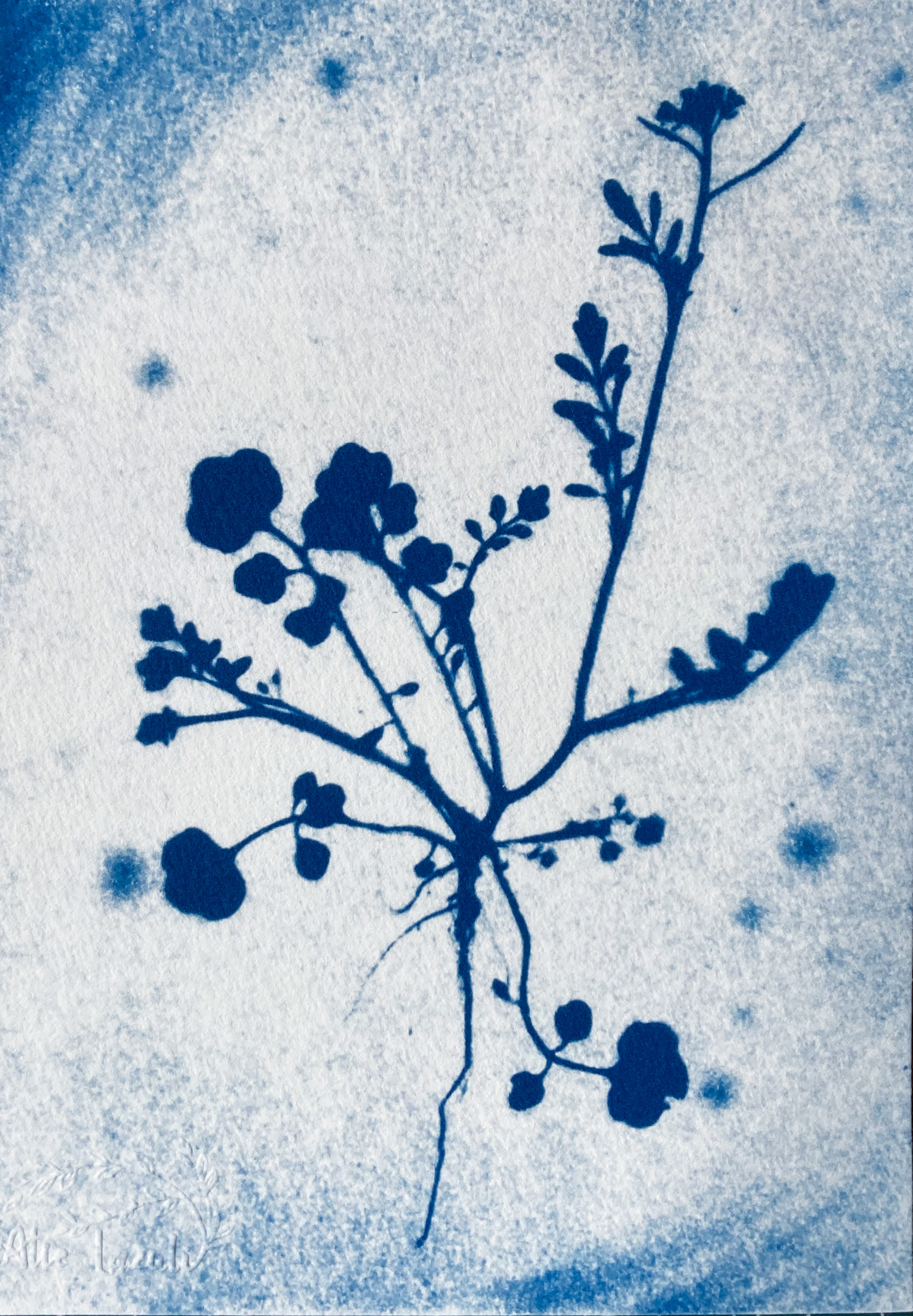 Entre Ciel et Terre - 13x18
