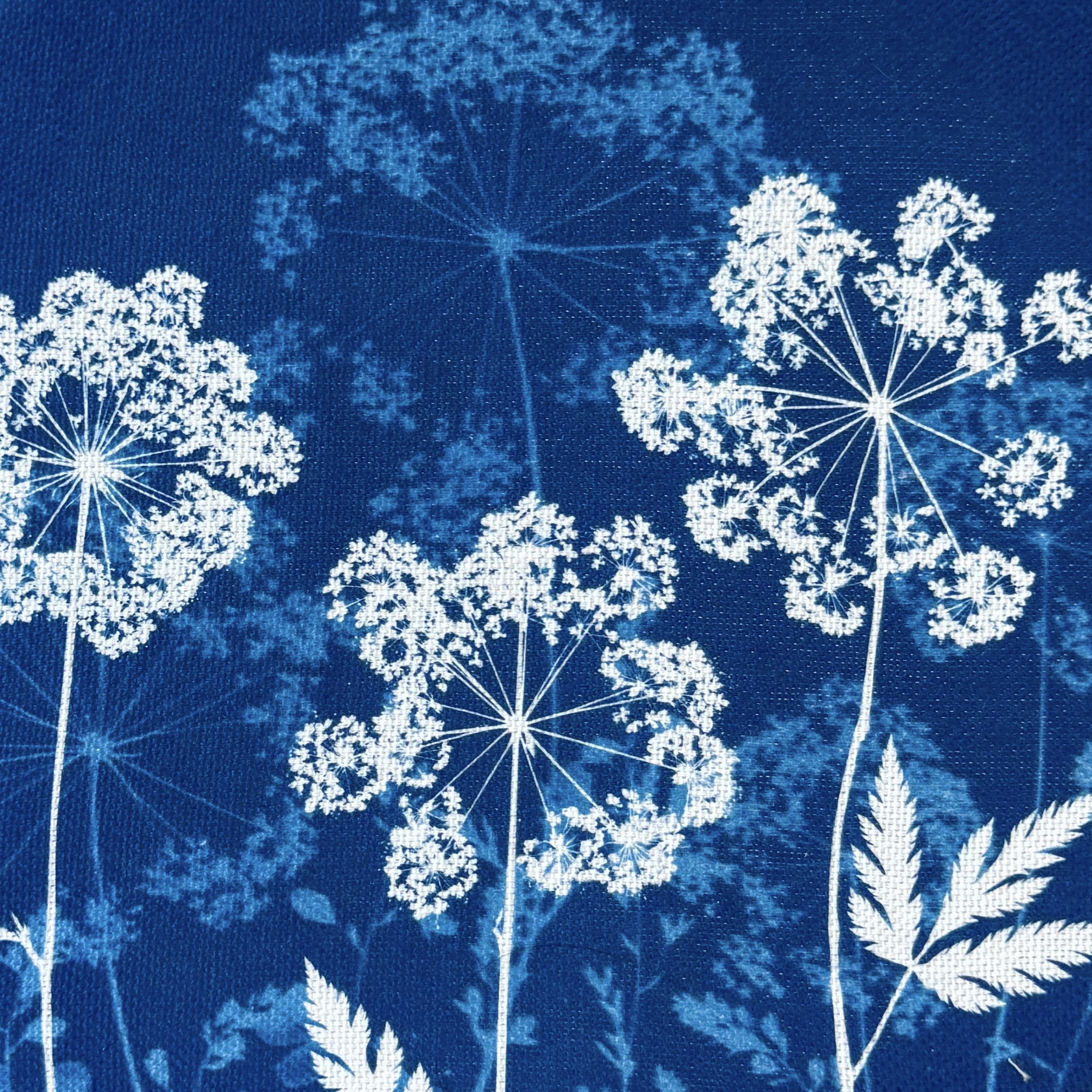 Cyanotype sur tissu - diamètre 18,5 cm