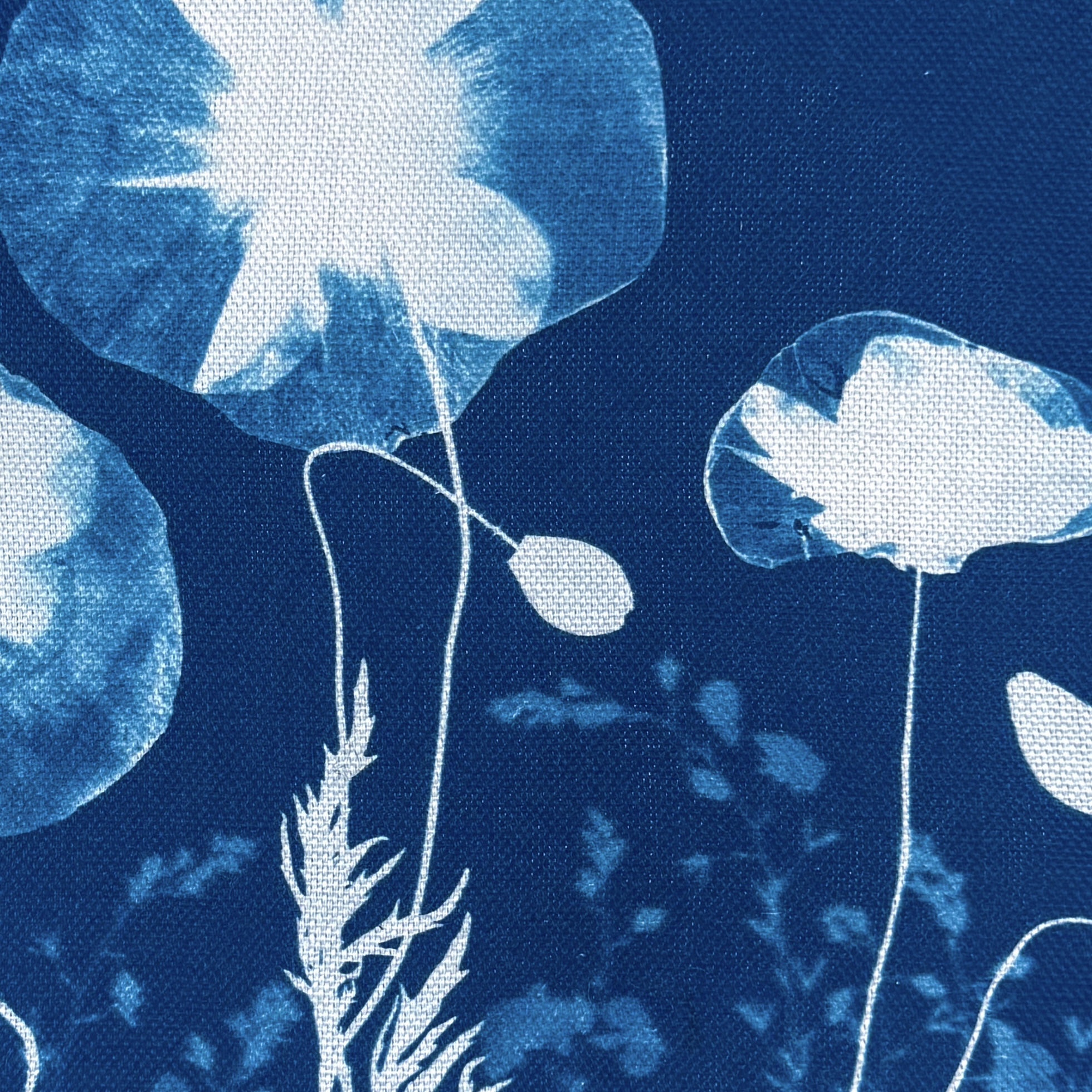 Cyanotype sur tissu - diamètre 21,5 cm