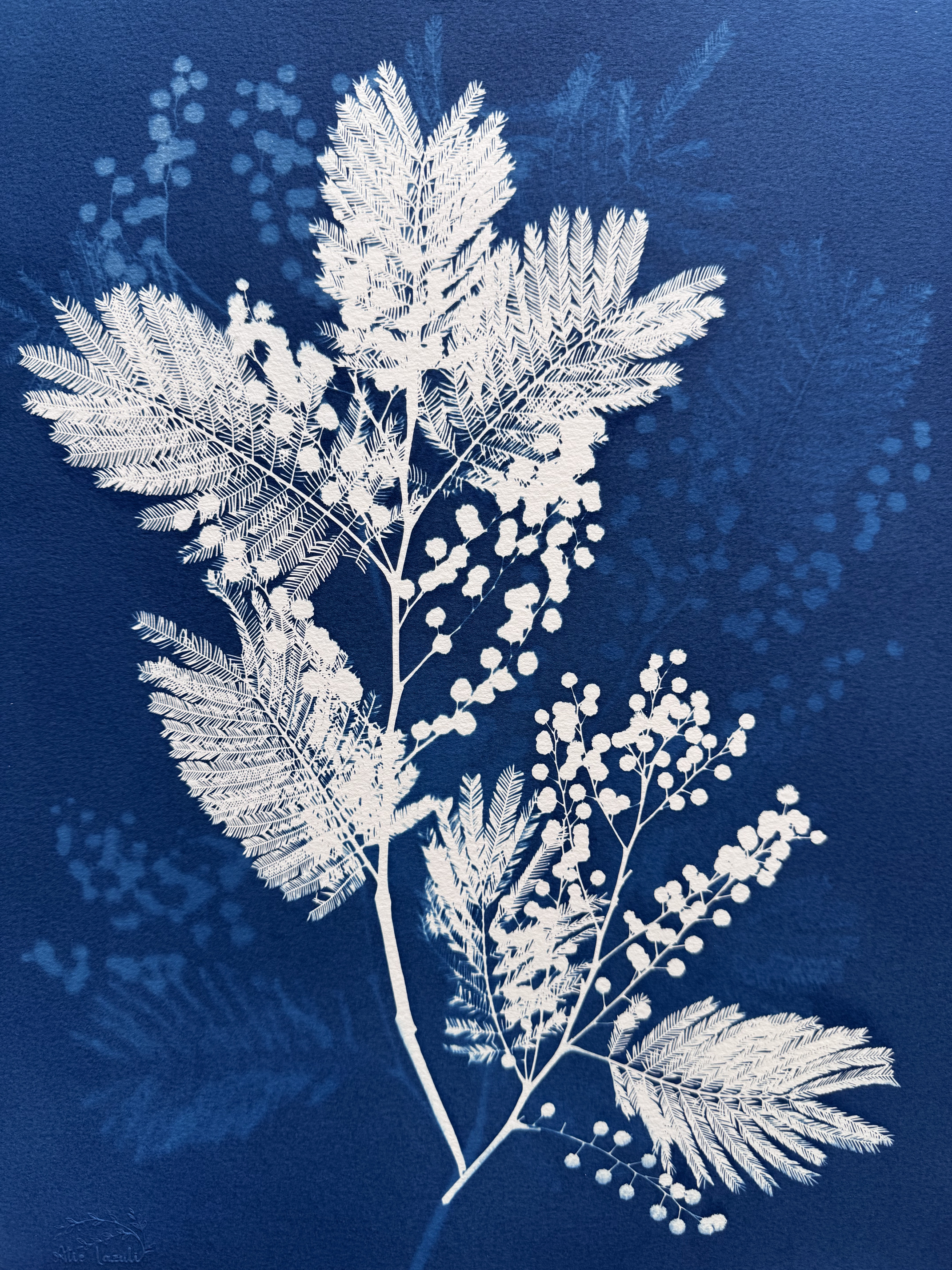 Flocons d'Or - 30x40 - Maison L