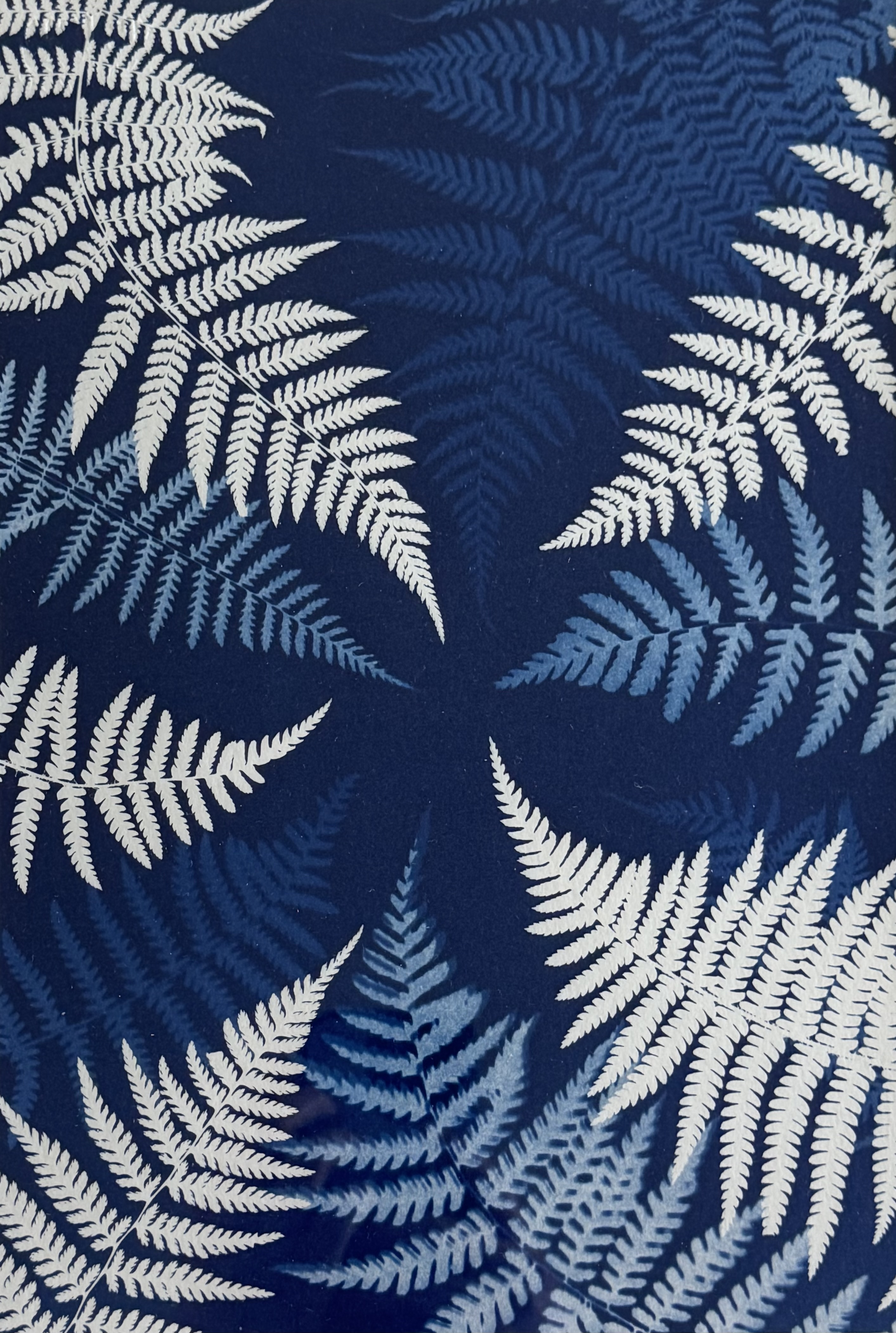 Convergence - 20x30 - Office de Tourisme