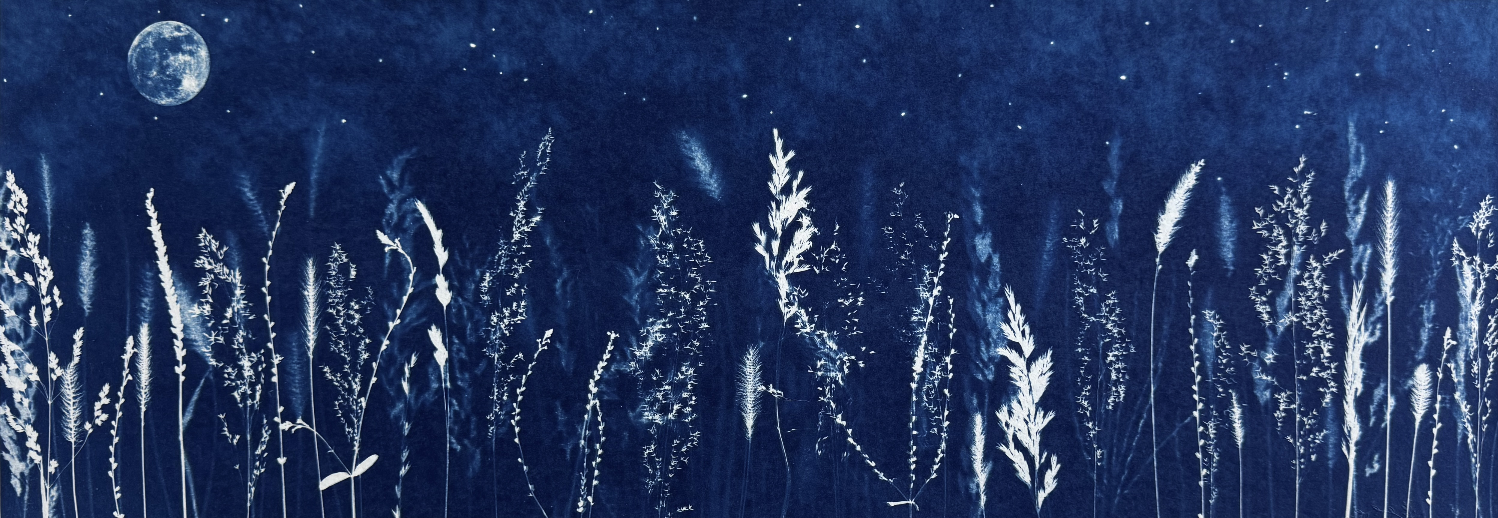 Eden Bleu - 24x64 - Office de Tourisme