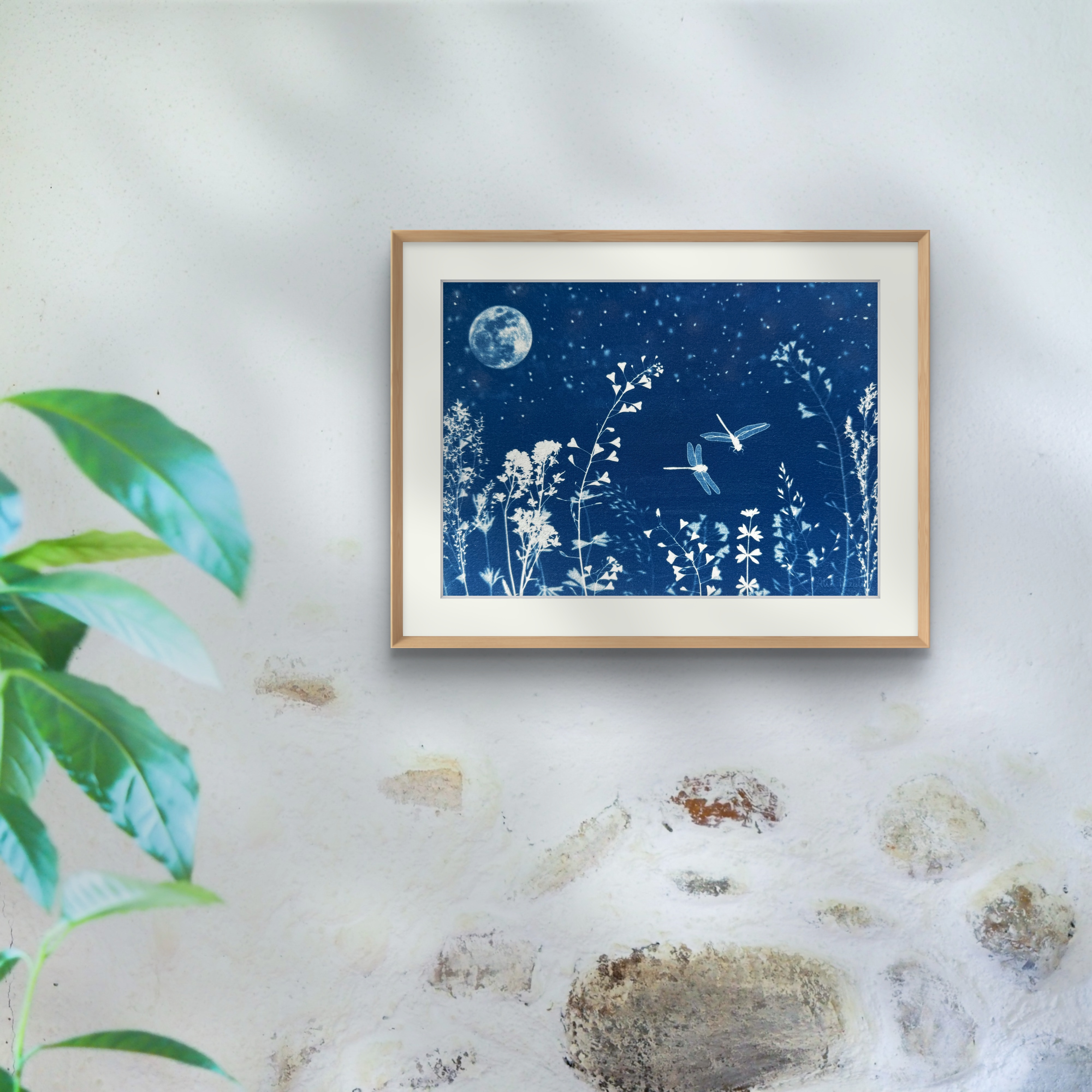 Libellules au Clair de Lune - 18x24