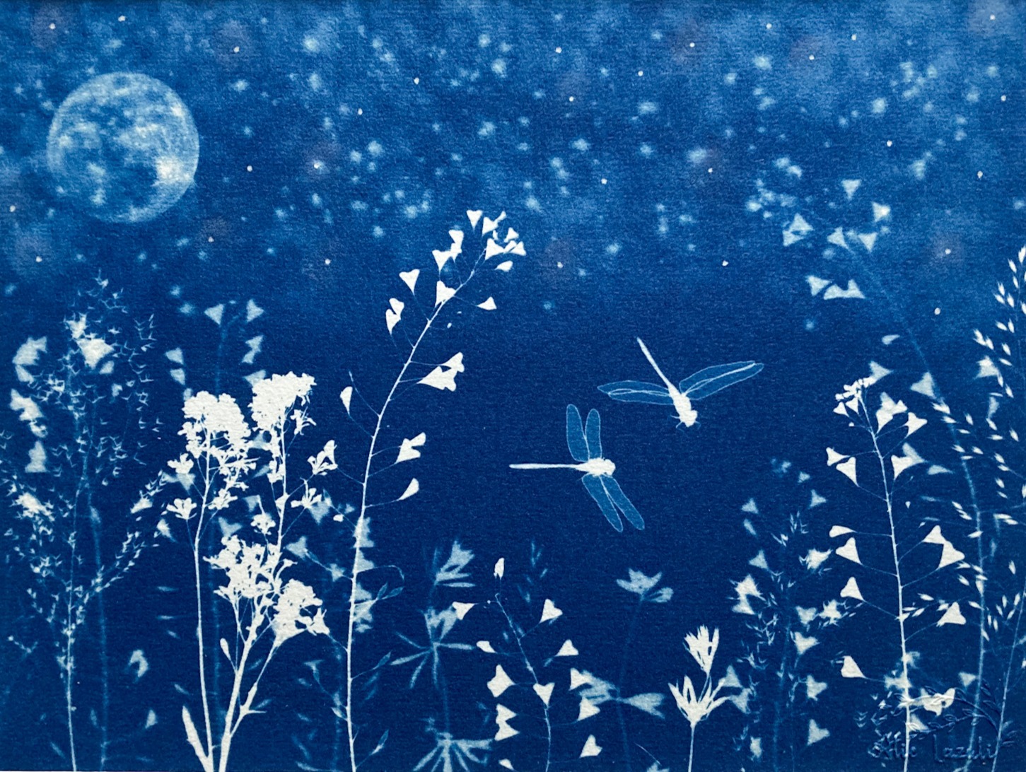 Libellules au Clair de Lune - 18x24 - Au Temps Suspendu
